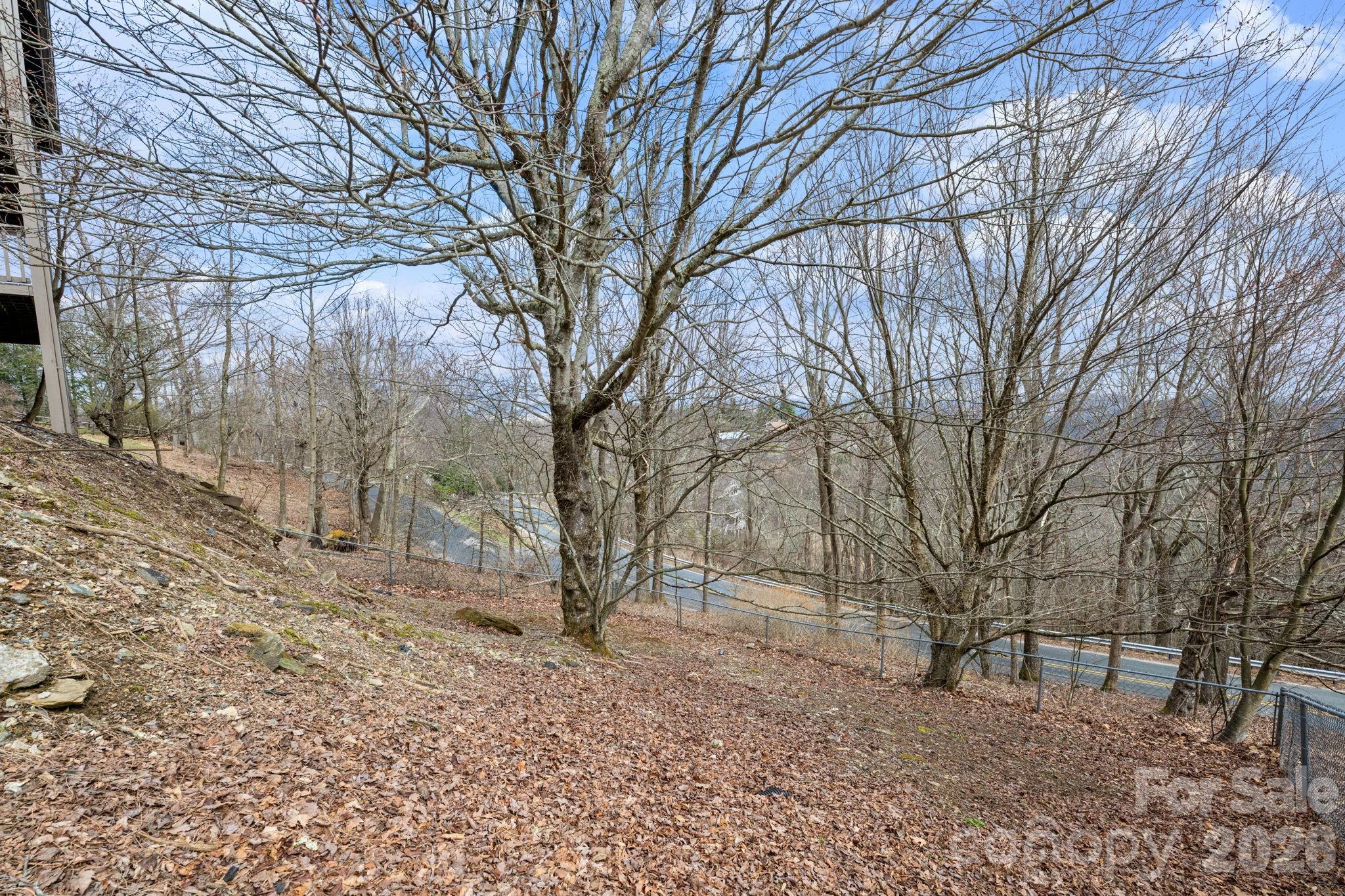 173 Chipmunk Lane Blowing Rock NC 28605