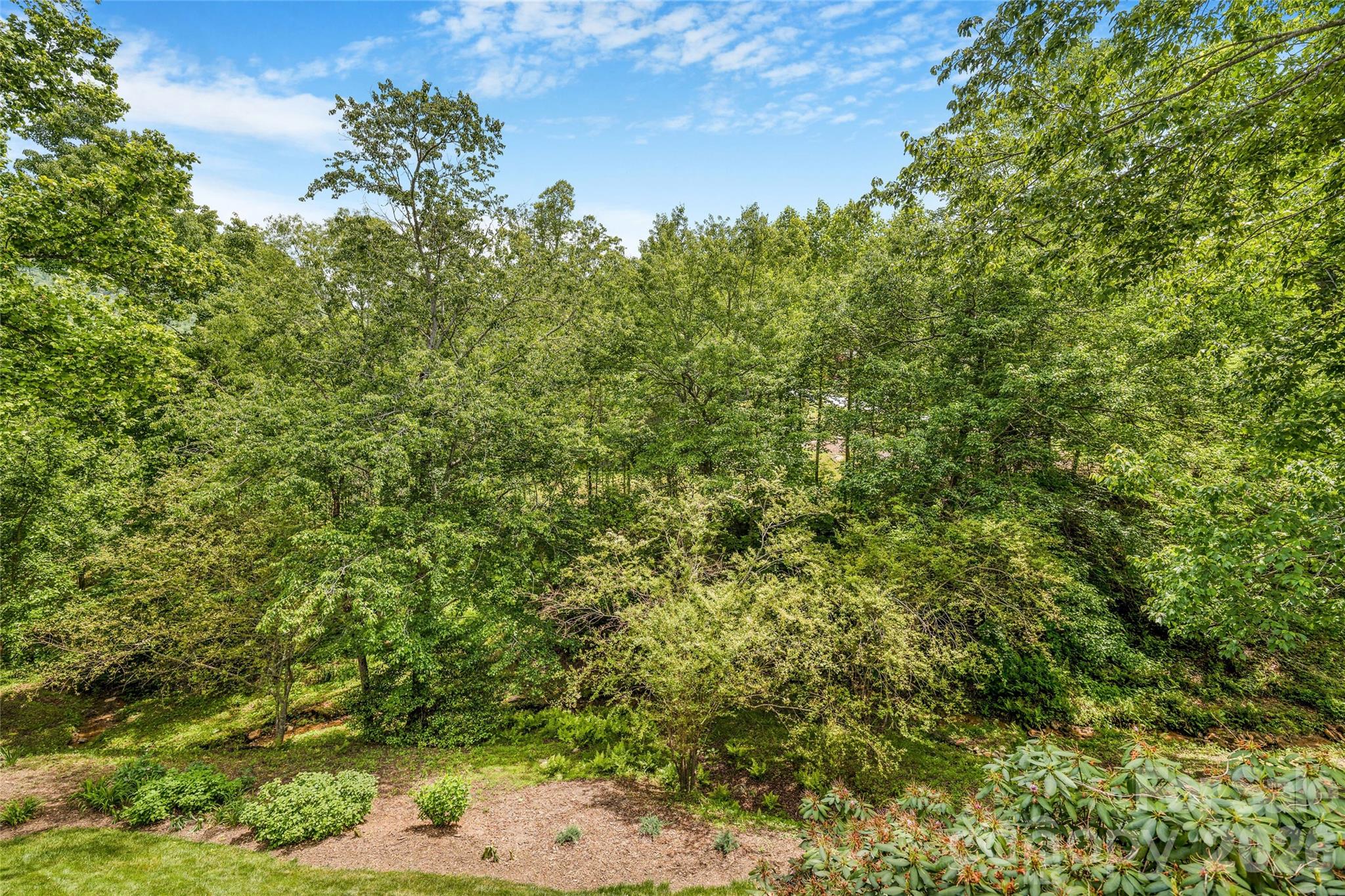 50 Meadow Village Lane Asheville NC 28803