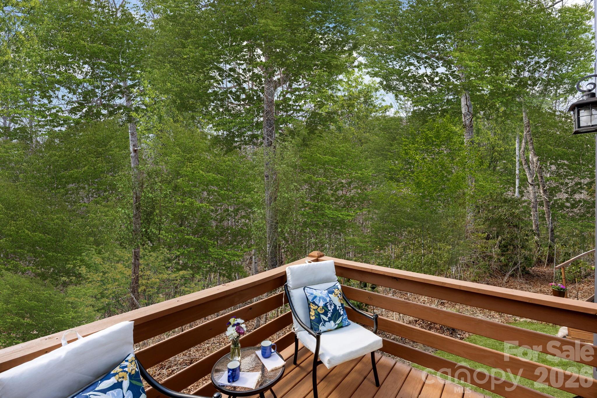 12 Bird Creek Estates Road Black Mountain NC 28711