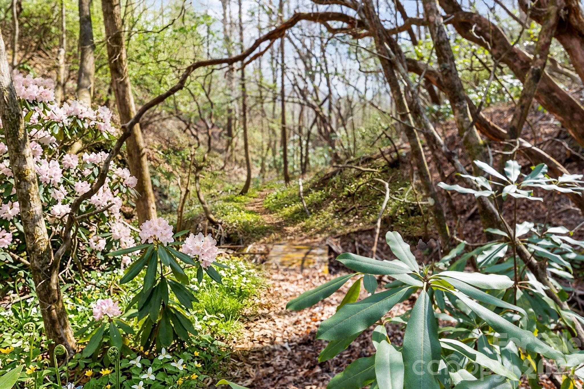 12 Bird Creek Estates Road Black Mountain NC 28711