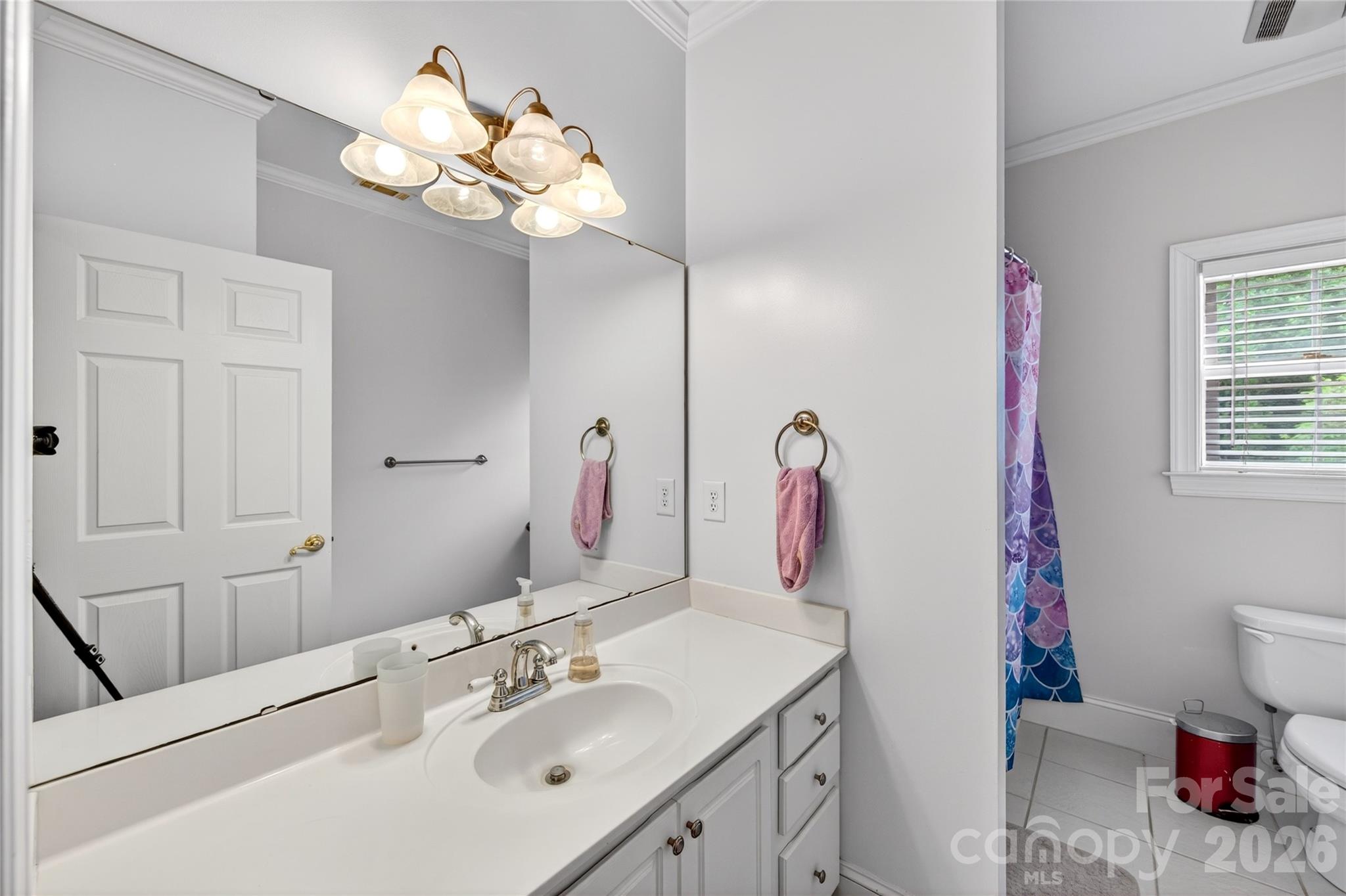 8628 Brookgreen Drive Mint Hill NC 28227