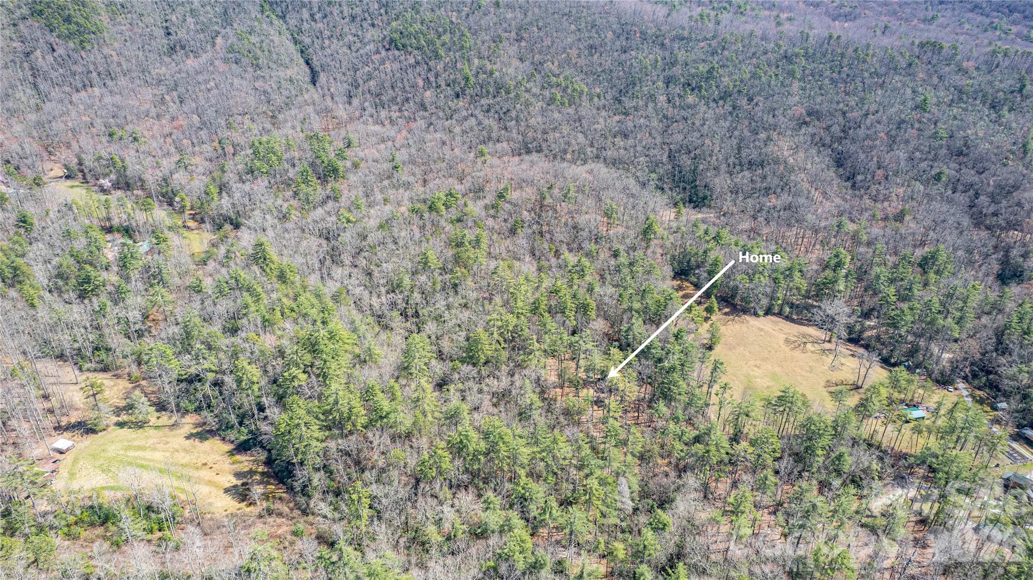 261 Maga Lane Brevard NC 28712