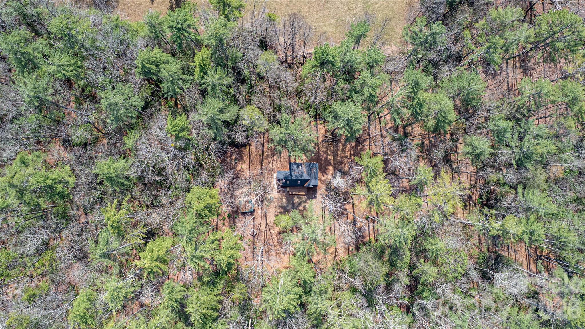 261 Maga Lane Brevard NC 28712