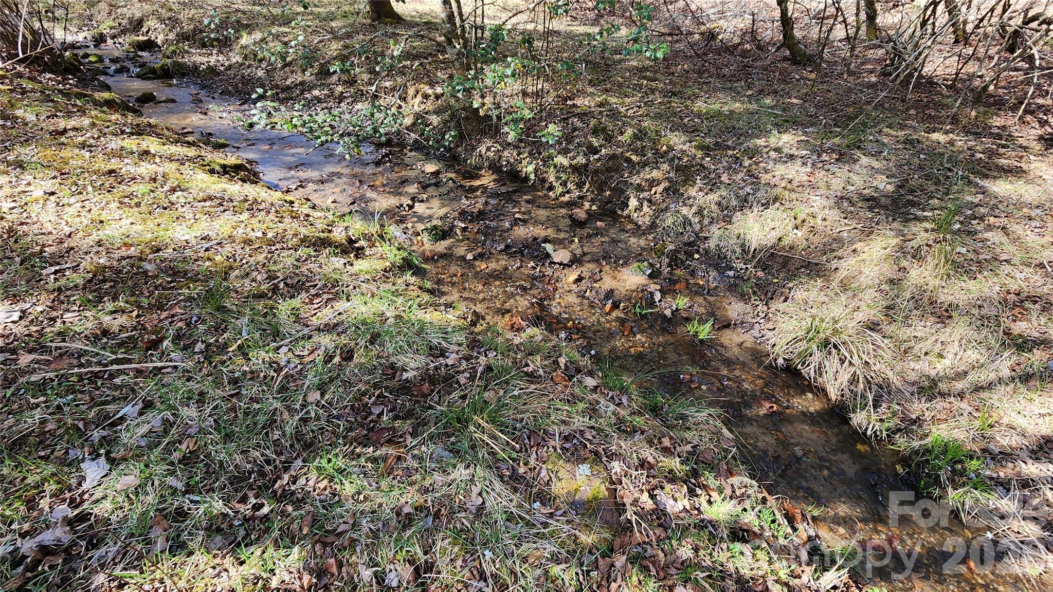 360 River Cove Lane Hayesville NC 28904