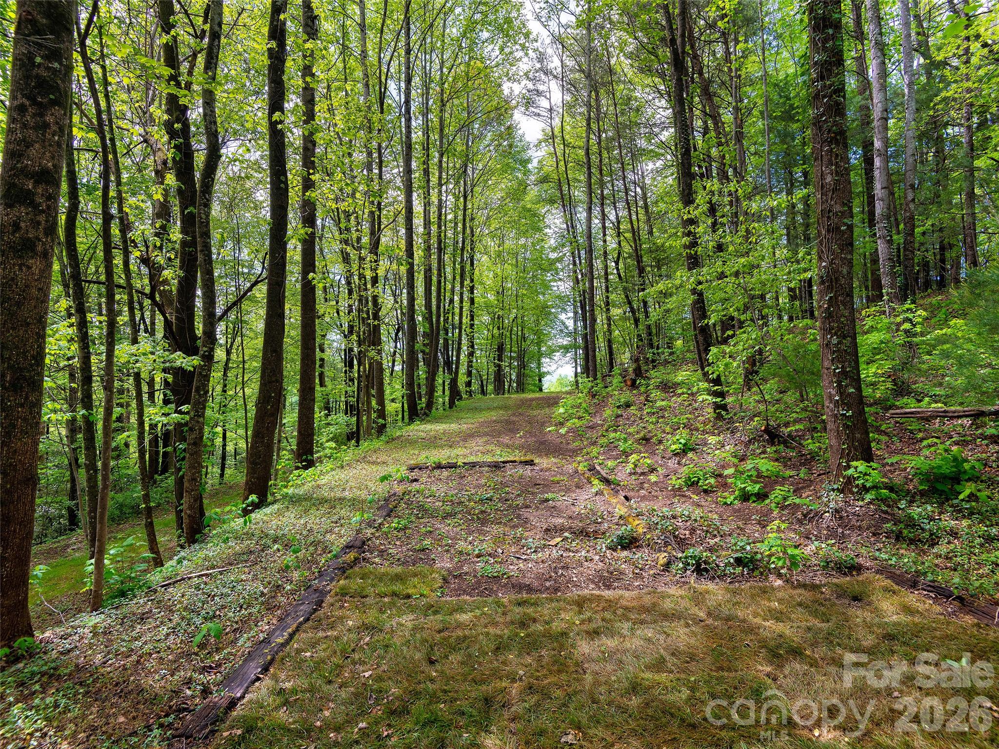 209 Ivy Hill Road Hendersonville NC 28792