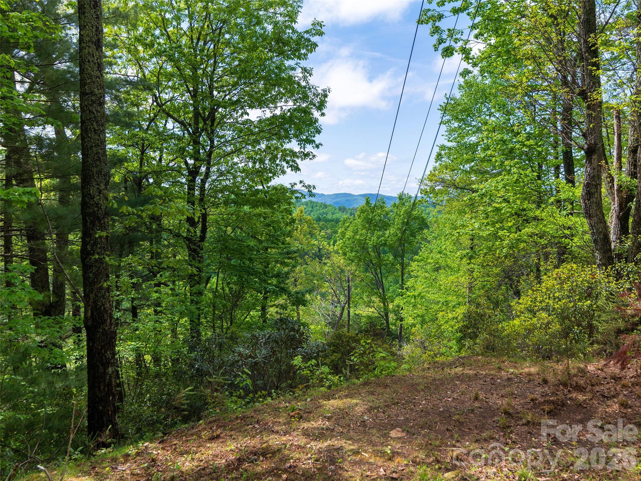 209 Ivy Hill Road Hendersonville NC 28792