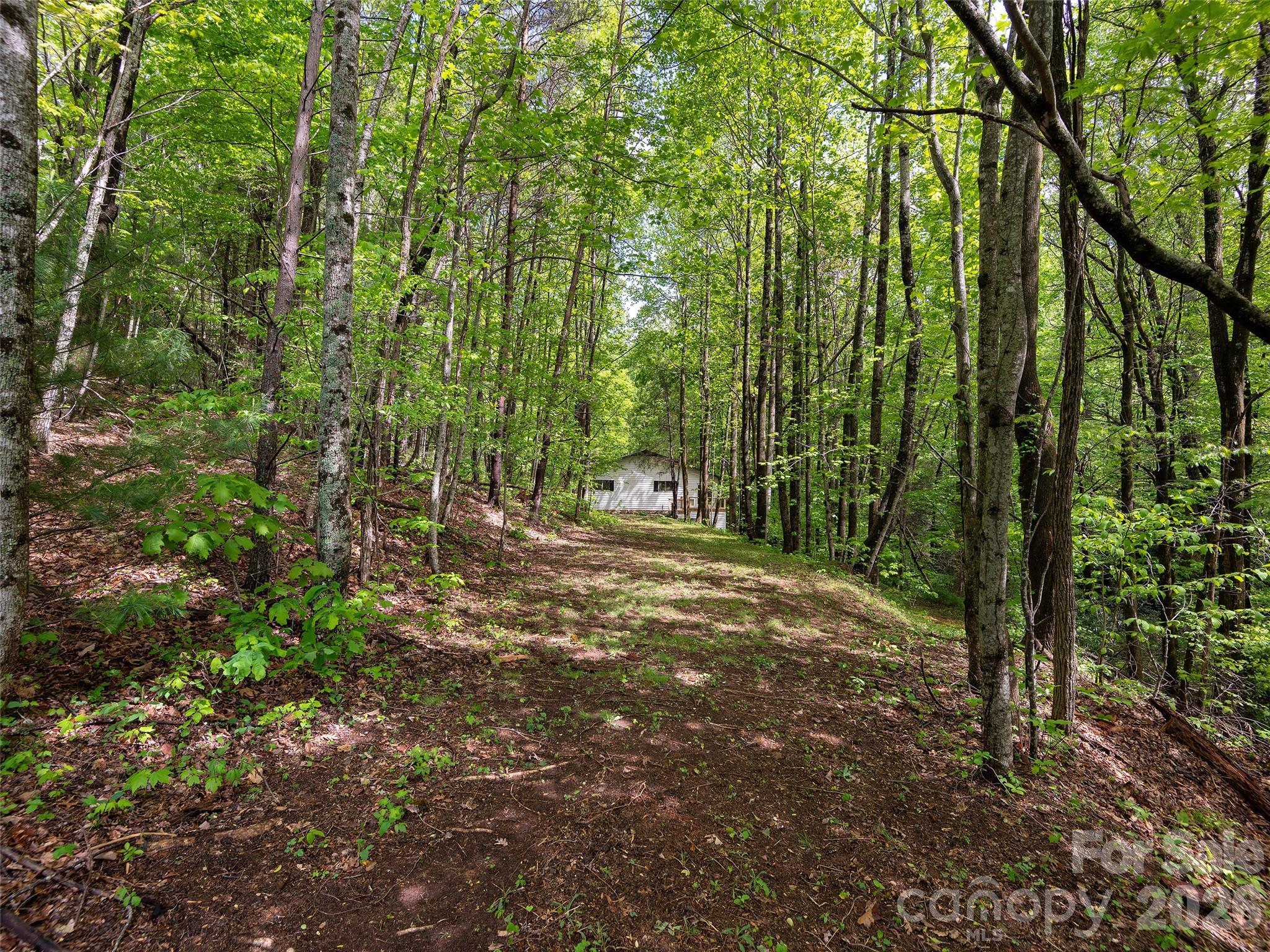 209 Ivy Hill Road Hendersonville NC 28792