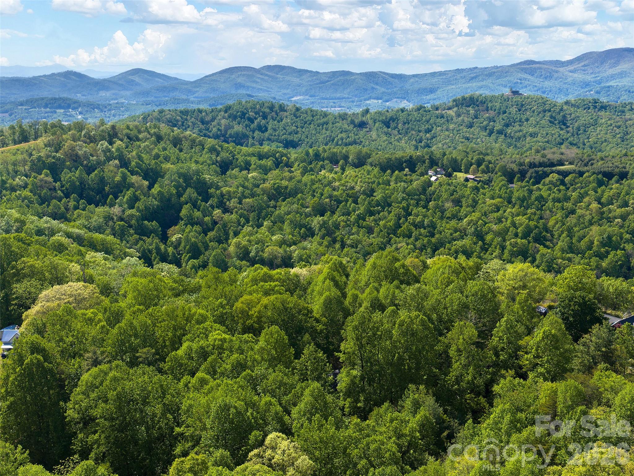 209 Ivy Hill Road Hendersonville NC 28792