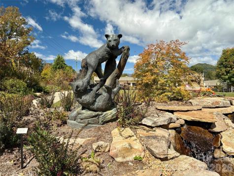 102 Kerlee Street Black Mountain NC 28711