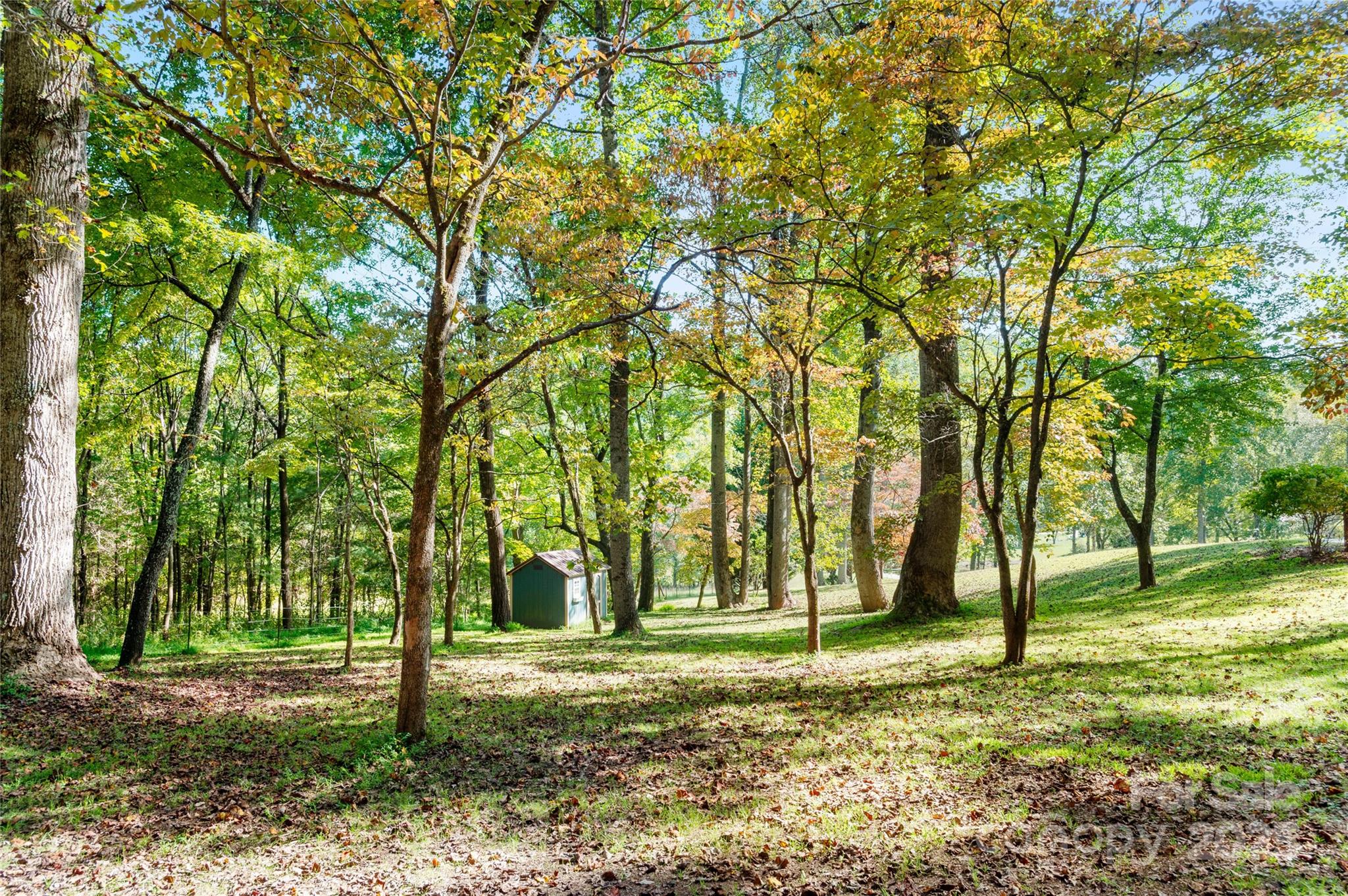 116 Sams Branch Road Candler NC 28715