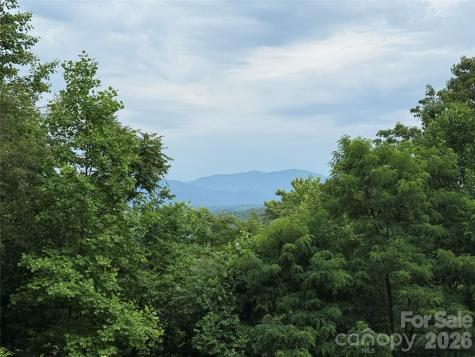 696 Hickory Nut Hollow Old Fort NC 28762