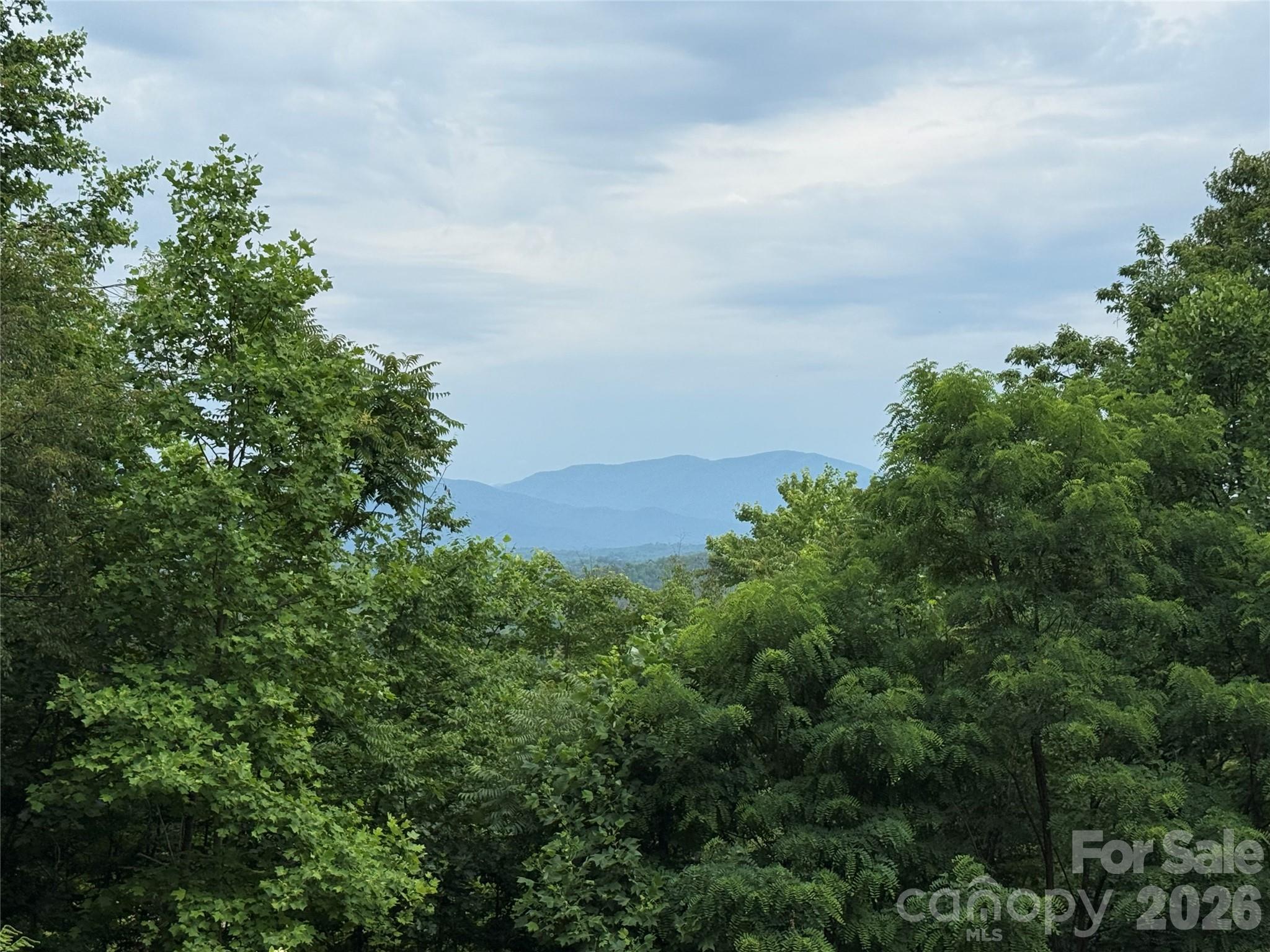 696 Hickory Nut Hollow Old Fort NC 28762