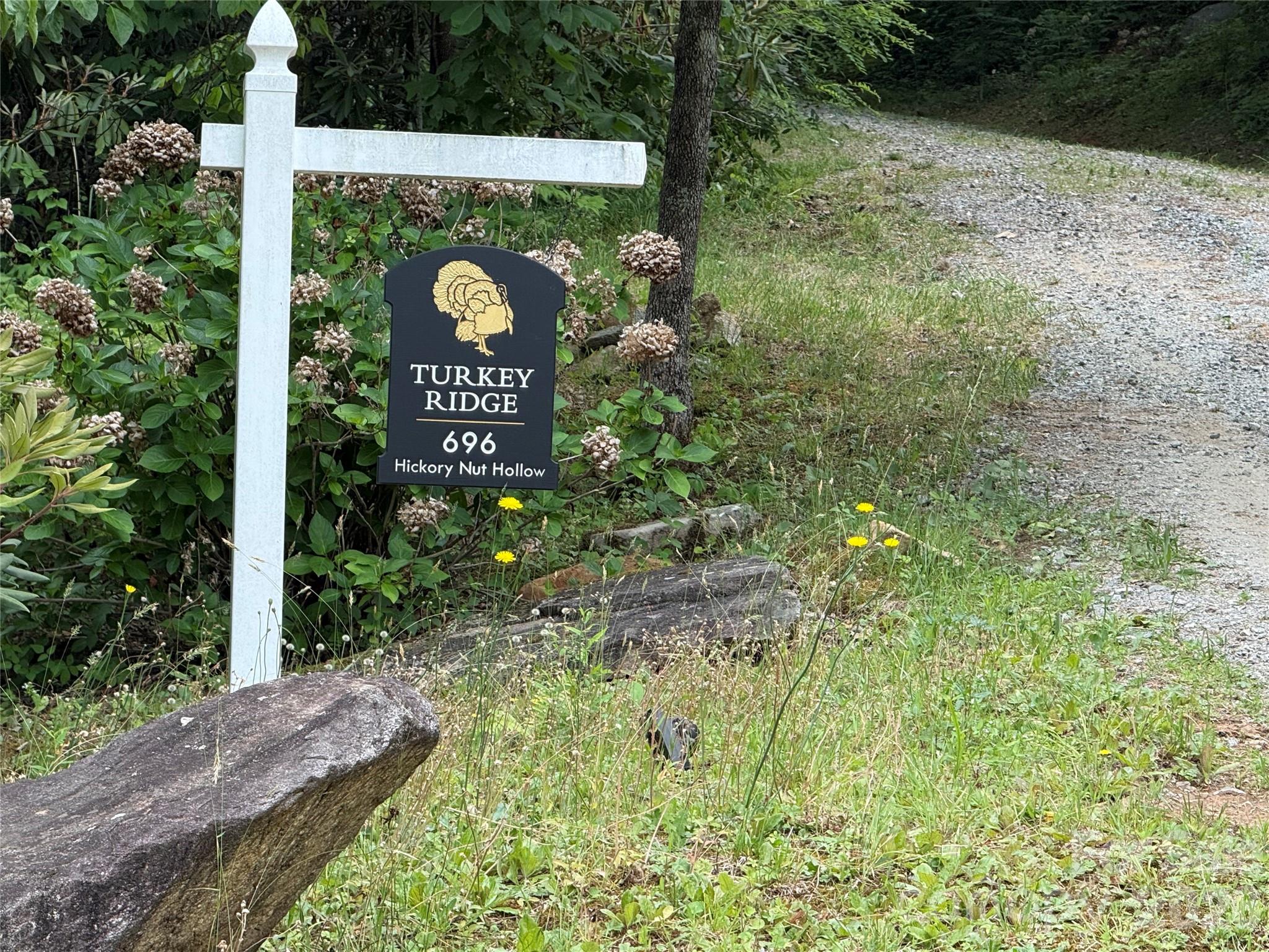 696 Hickory Nut Hollow Old Fort NC 28762