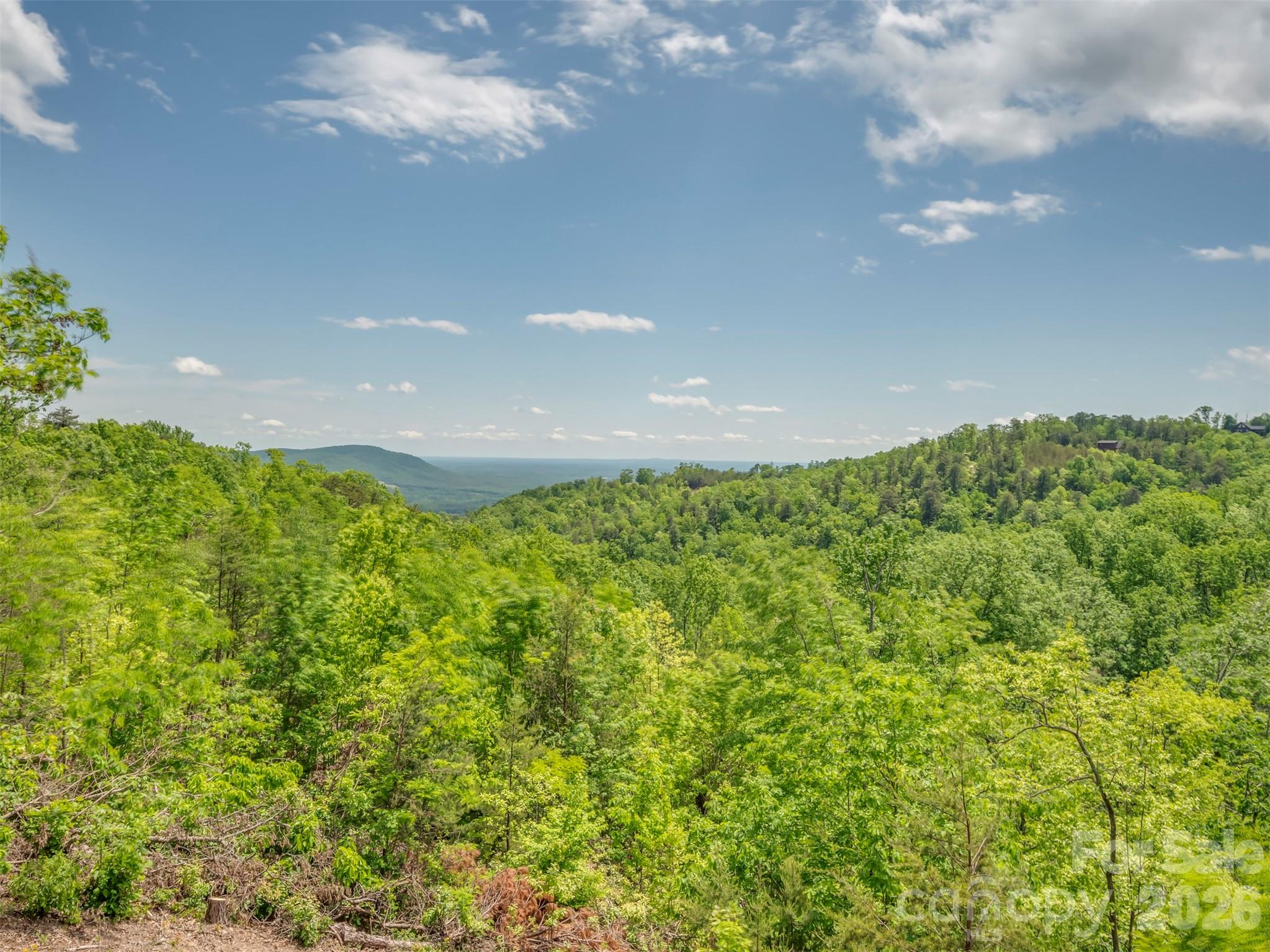 202 Fall Creek Drive Bostic NC 28018
