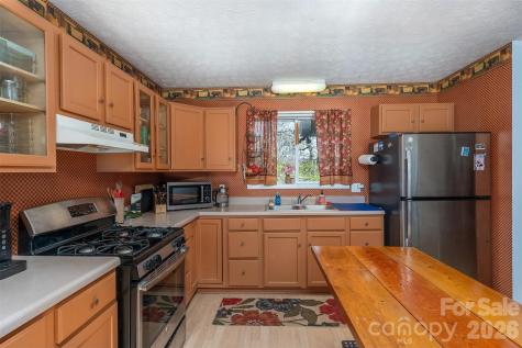 195 Prospectors Trail Black Mountain NC 28711