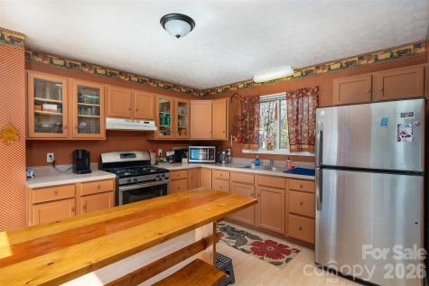 195 Prospectors Trail Black Mountain NC 28711