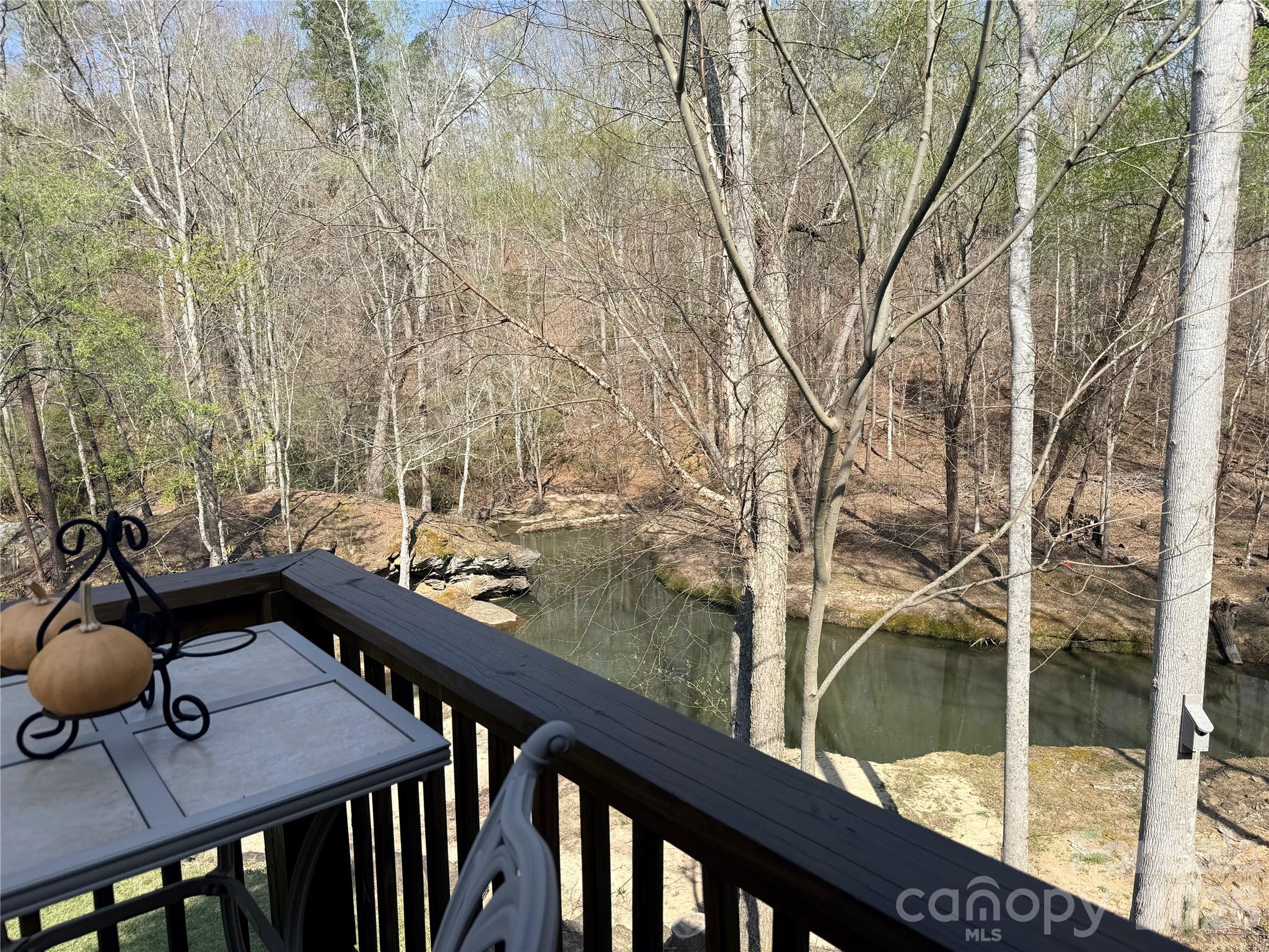 3695 Nc 9 Highway N Mill Spring NC 28756