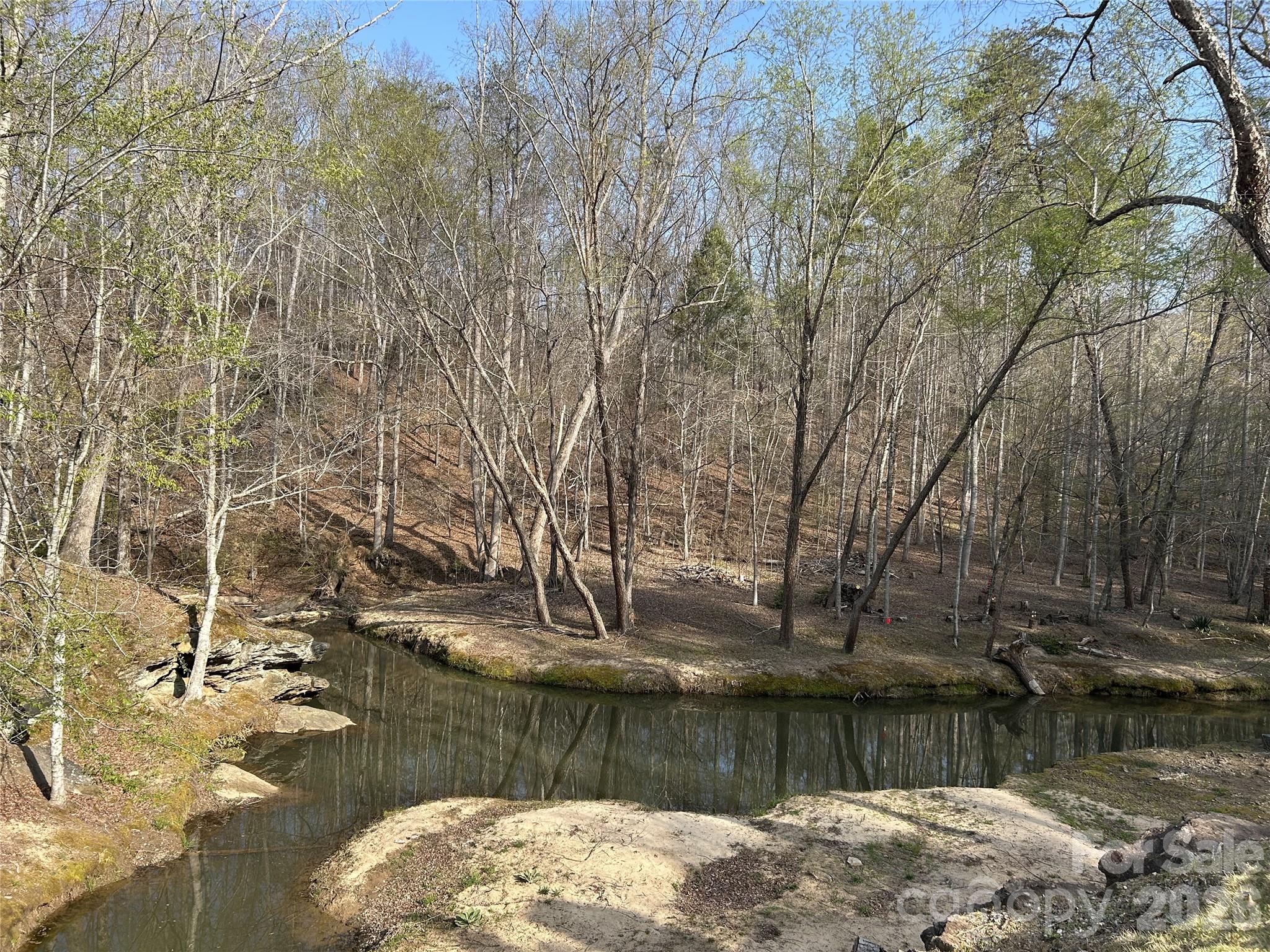 3695 Nc 9 Highway N Mill Spring NC 28756