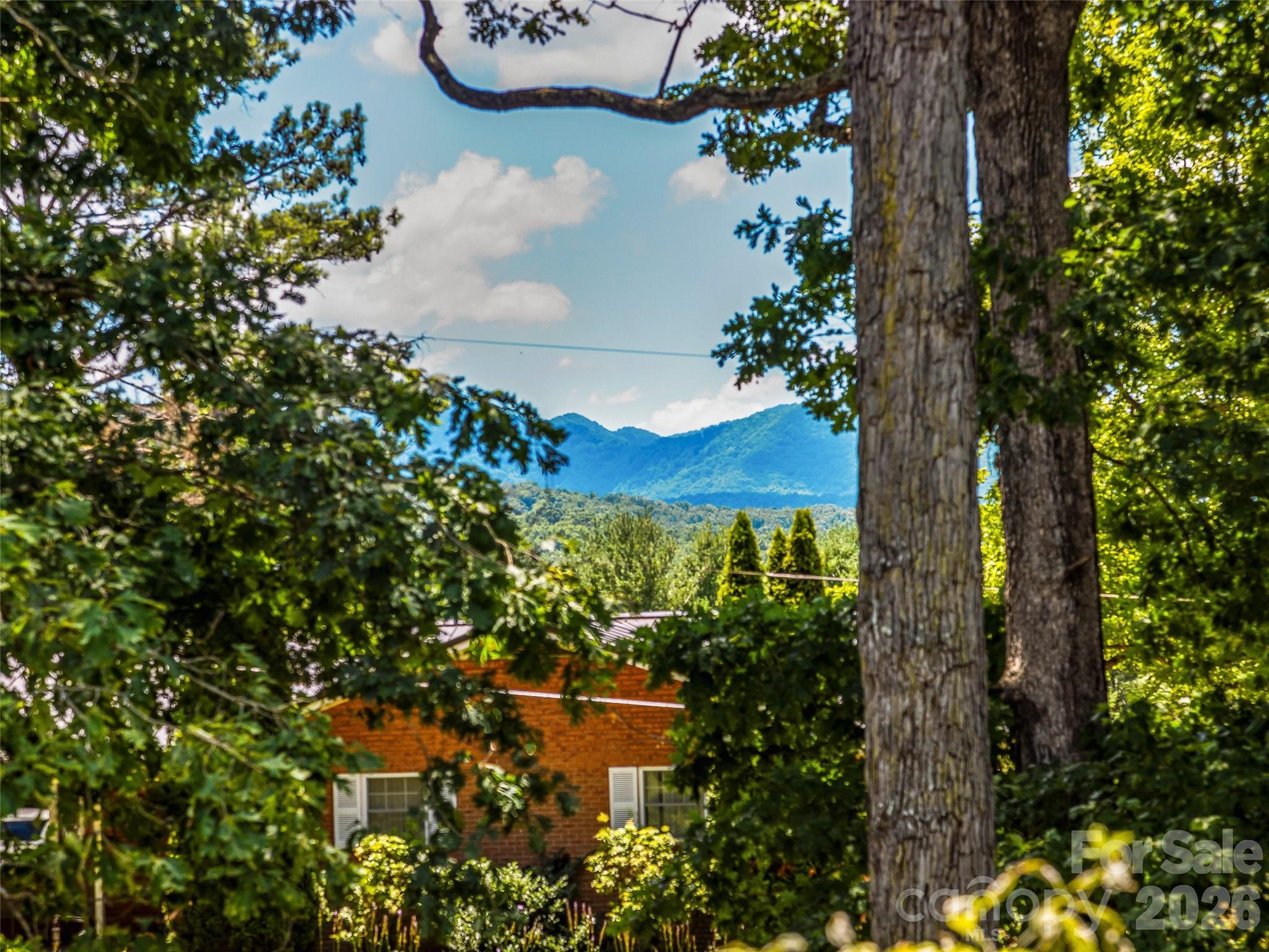 29 Tall Oaks Road Candler NC 28715