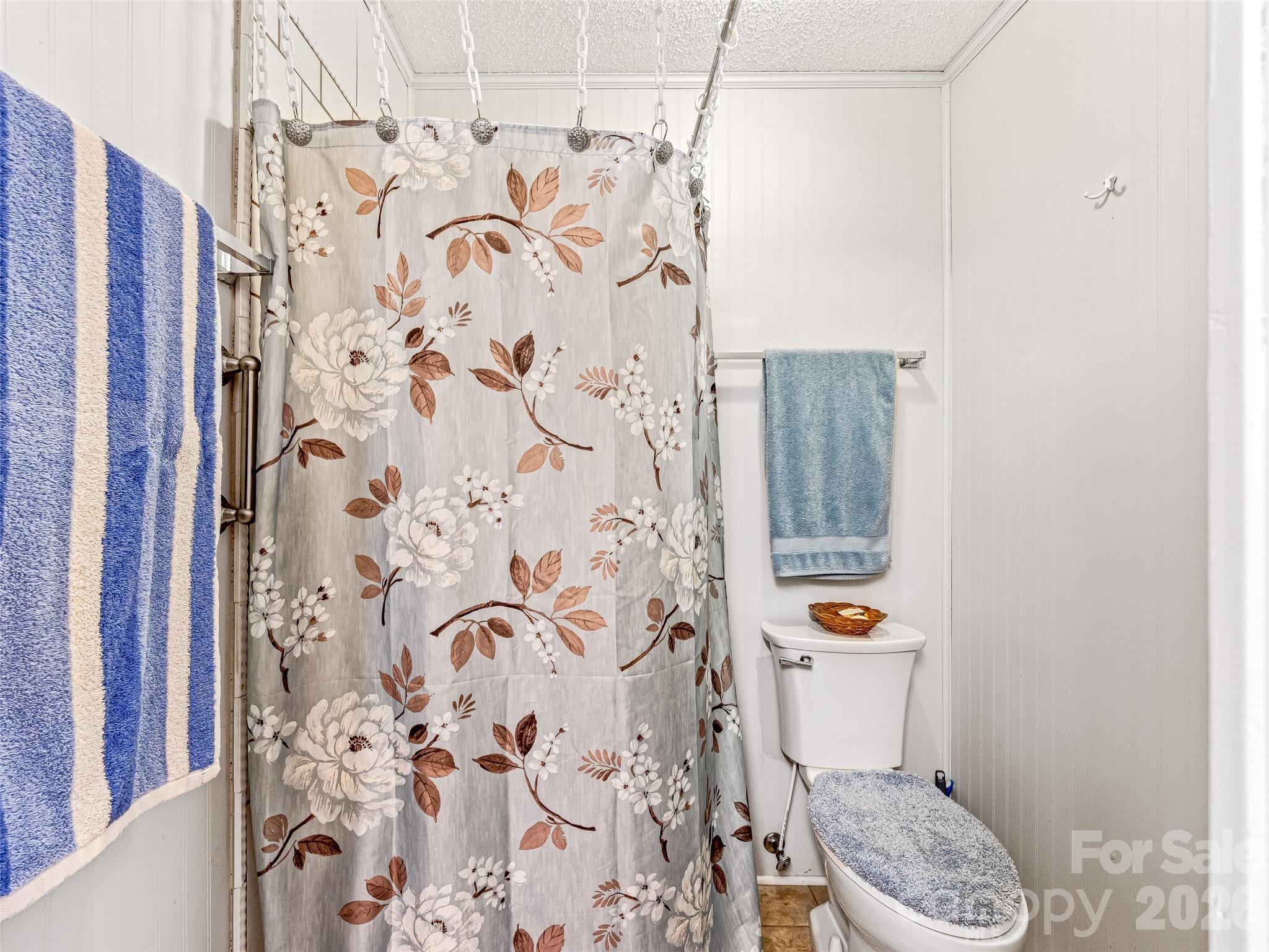 29 Tall Oaks Road Candler NC 28715