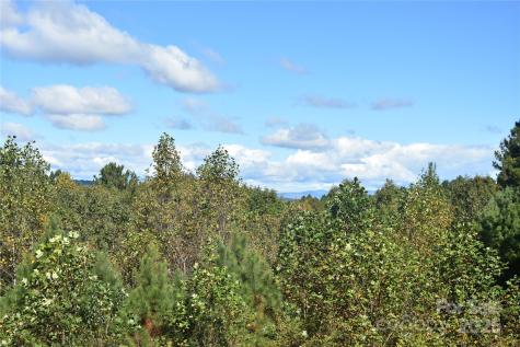 80 Grandview Loop Nebo NC 28761