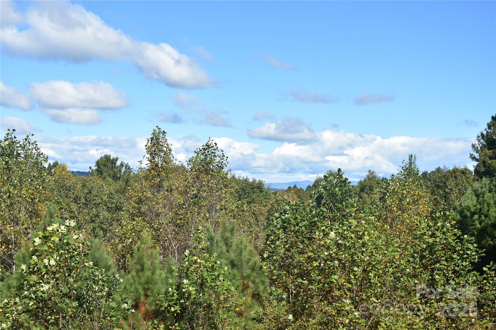 80 Grandview Loop Nebo NC 28761