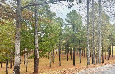 80 Grandview Loop Nebo NC 28761