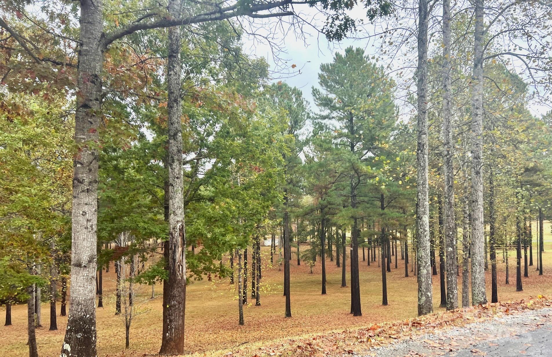 80 Grandview Loop Nebo NC 28761