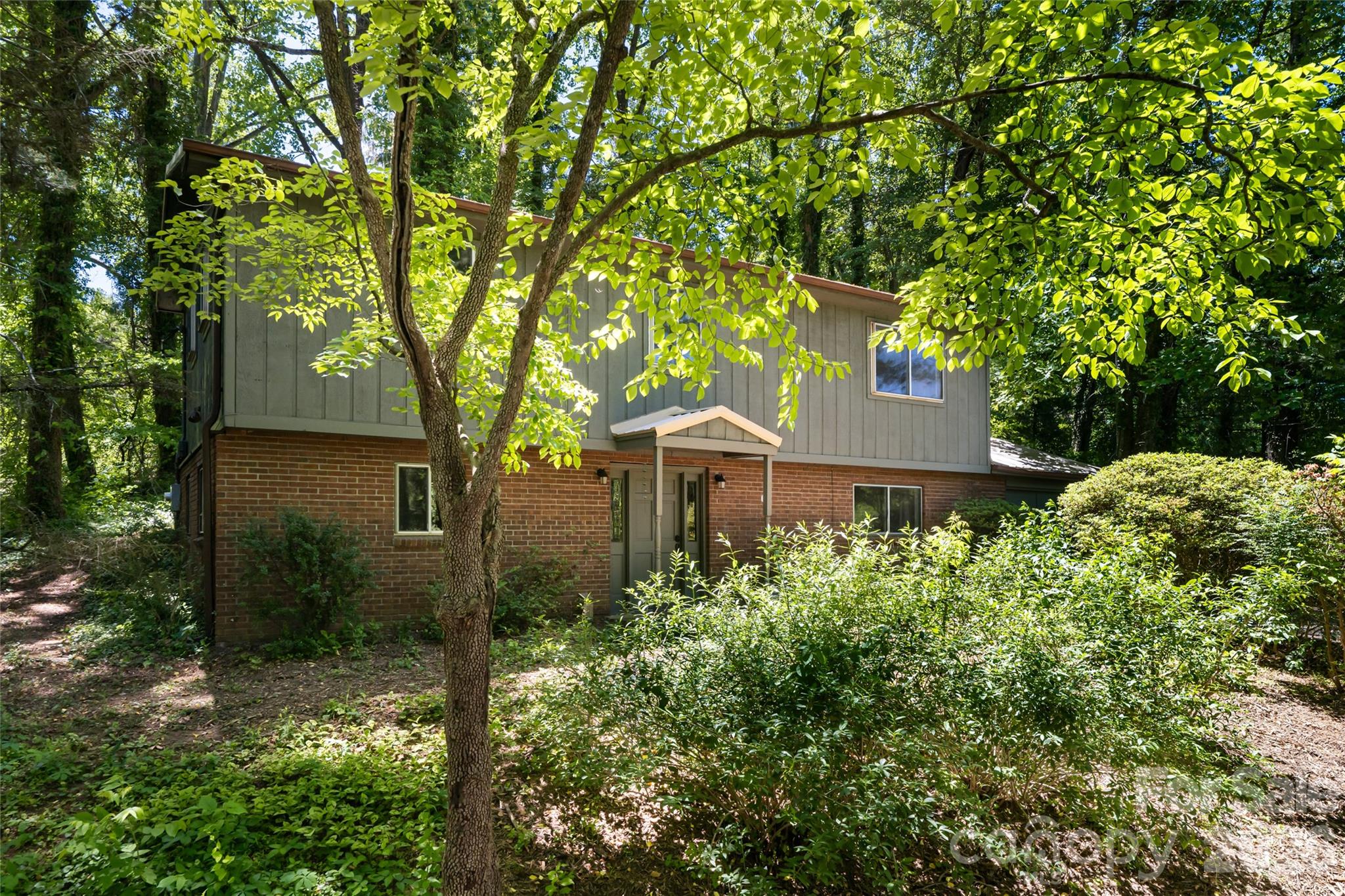 1 Beaverdam Knoll Road Asheville NC 28804