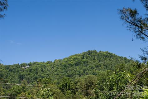1 Beaverdam Knoll Road Asheville NC 28804