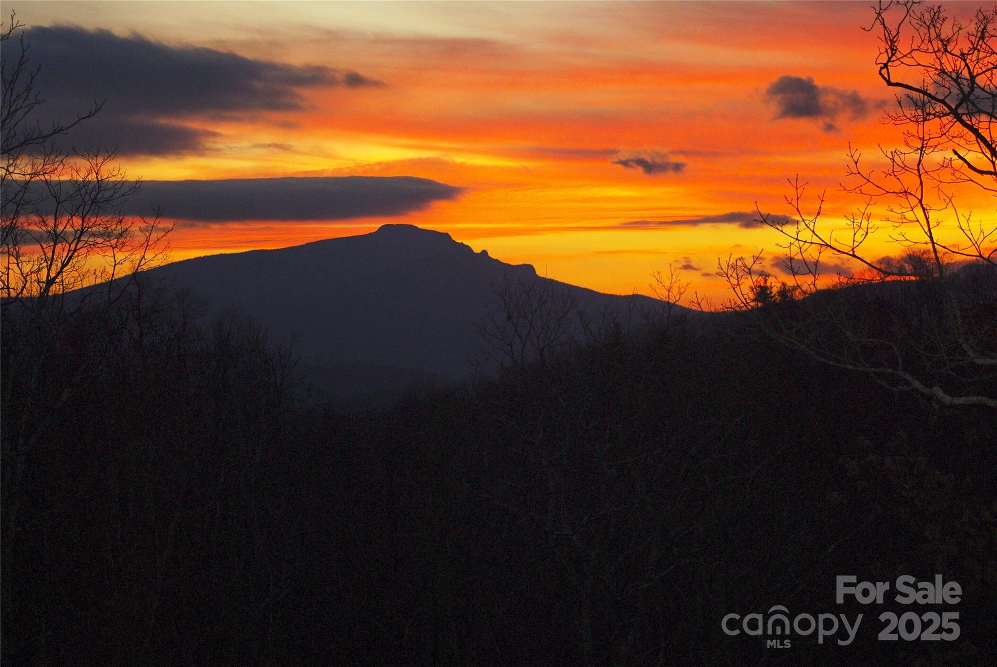 285 Wetherley Boone NC 28607