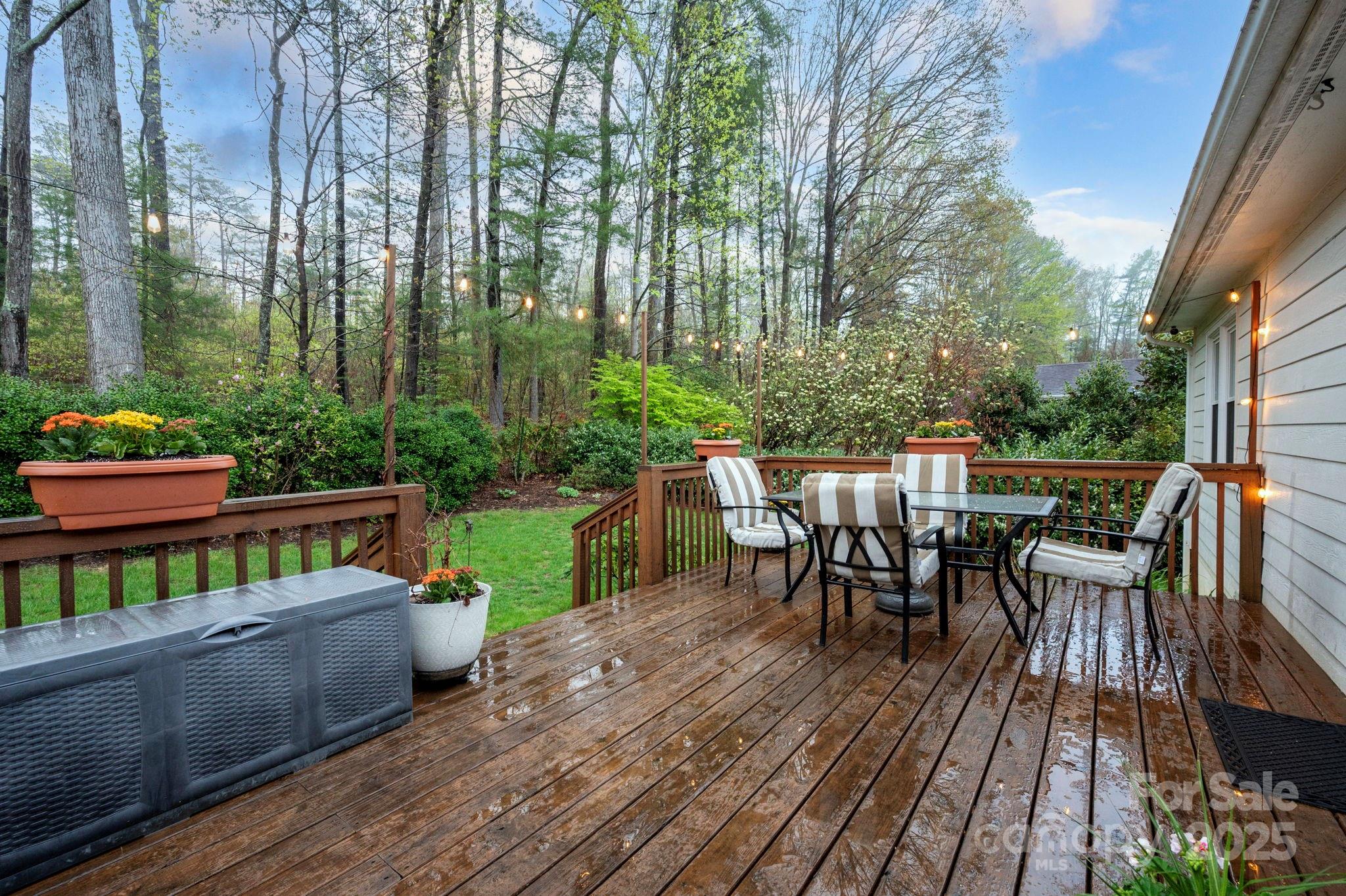 65 Forest Lake Drive Asheville NC 28803