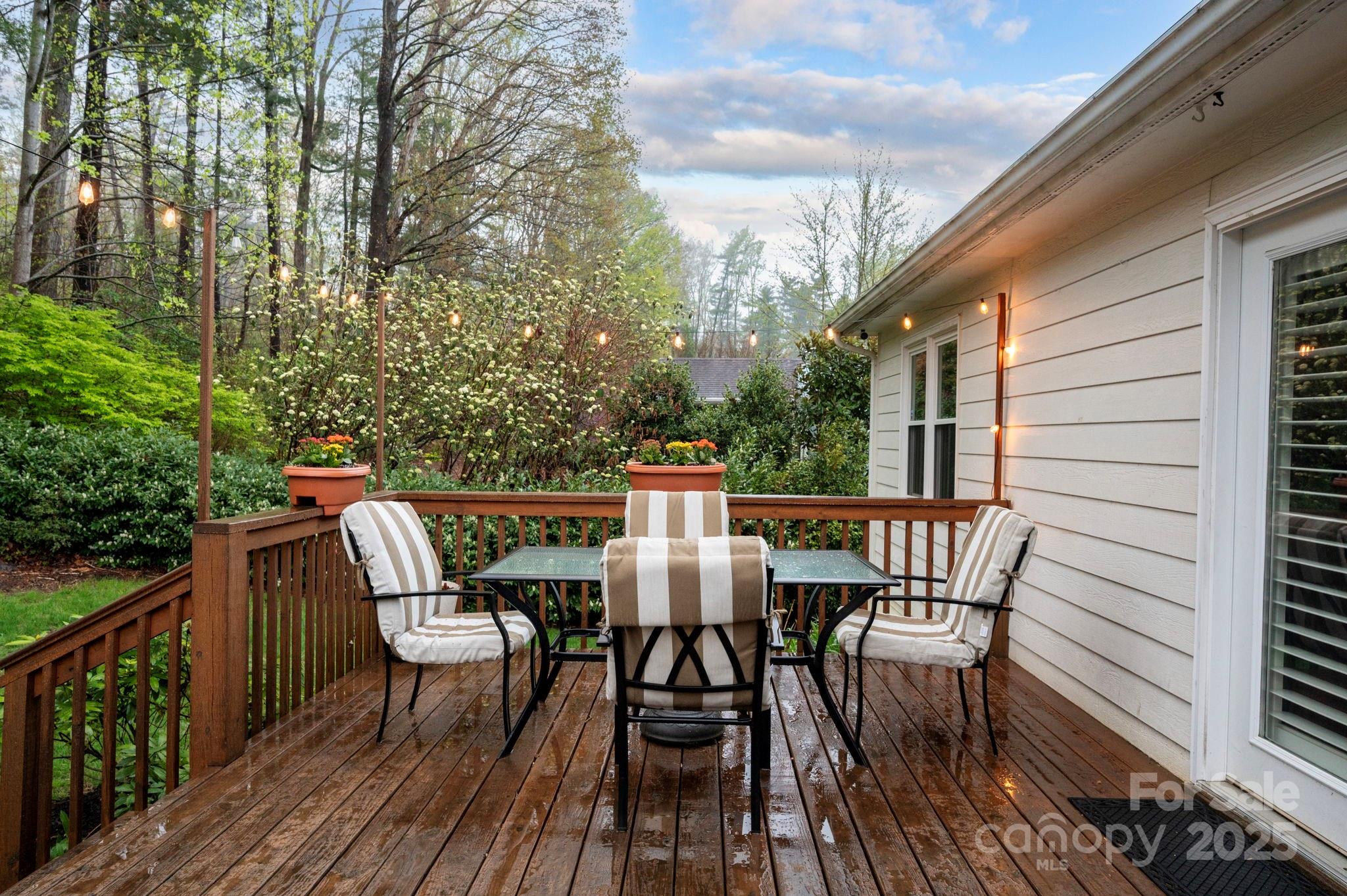 65 Forest Lake Drive Asheville NC 28803