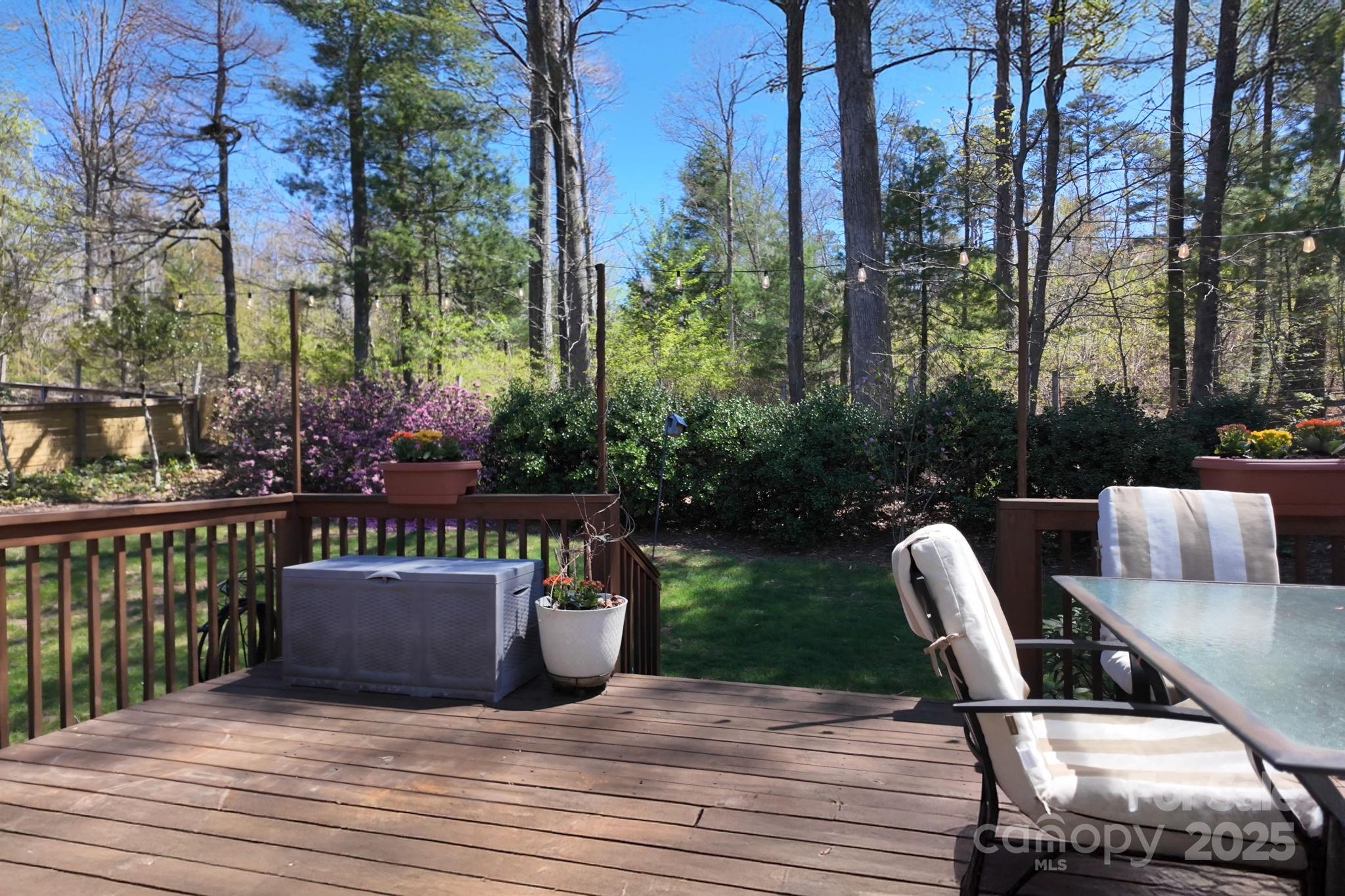 65 Forest Lake Drive Asheville NC 28803