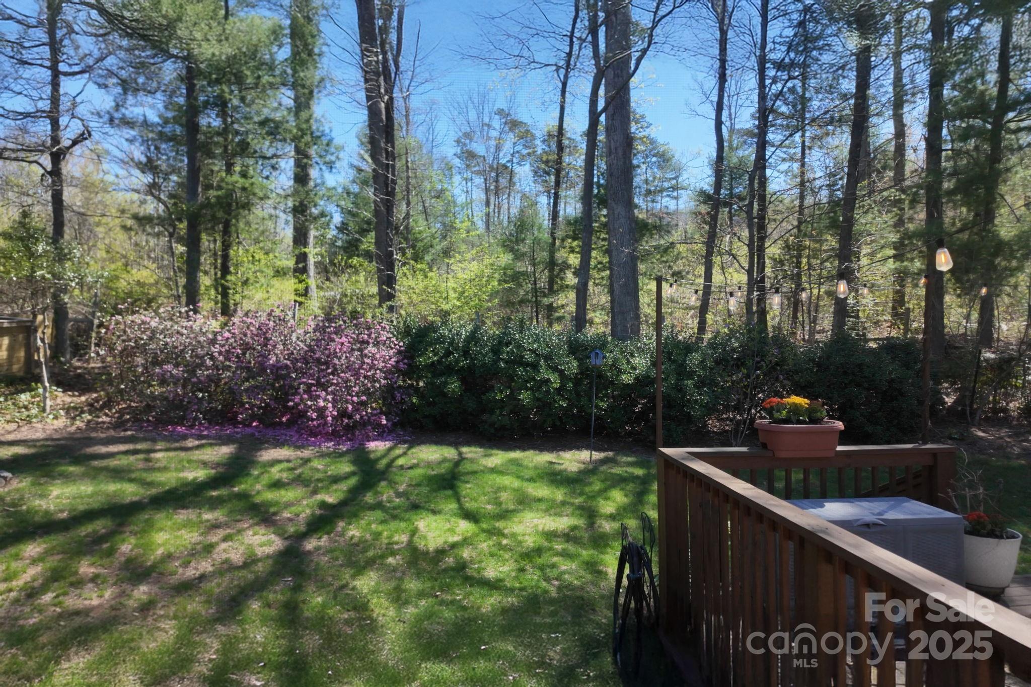 65 Forest Lake Drive Asheville NC 28803