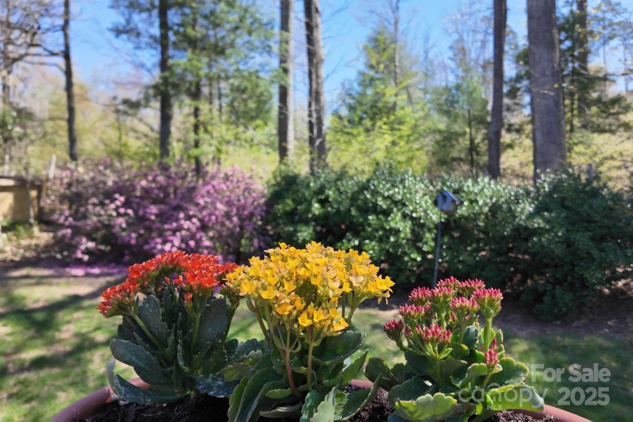 65 Forest Lake Drive Asheville NC 28803