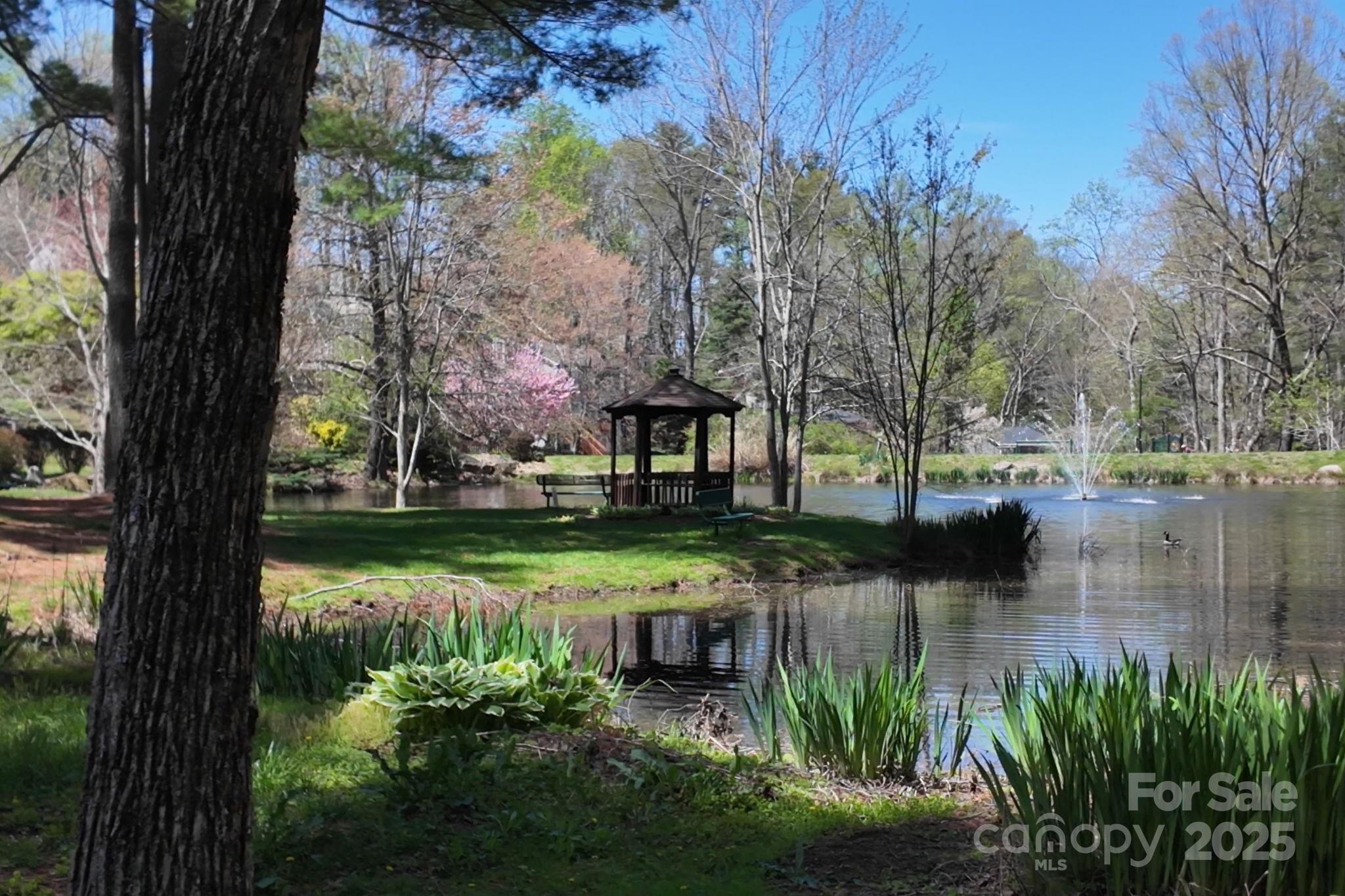 65 Forest Lake Drive Asheville NC 28803