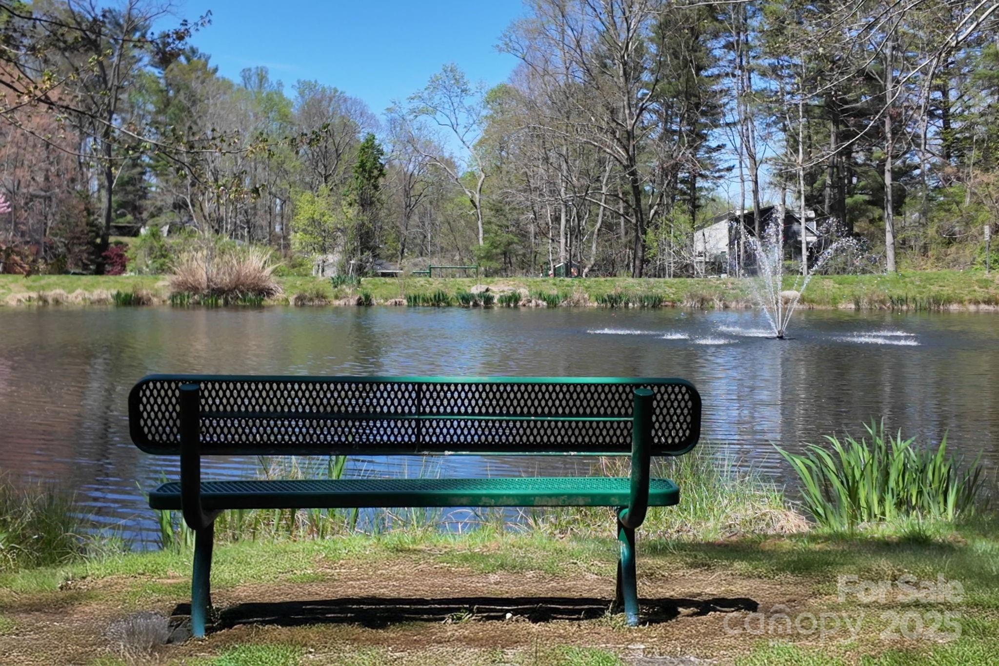 65 Forest Lake Drive Asheville NC 28803