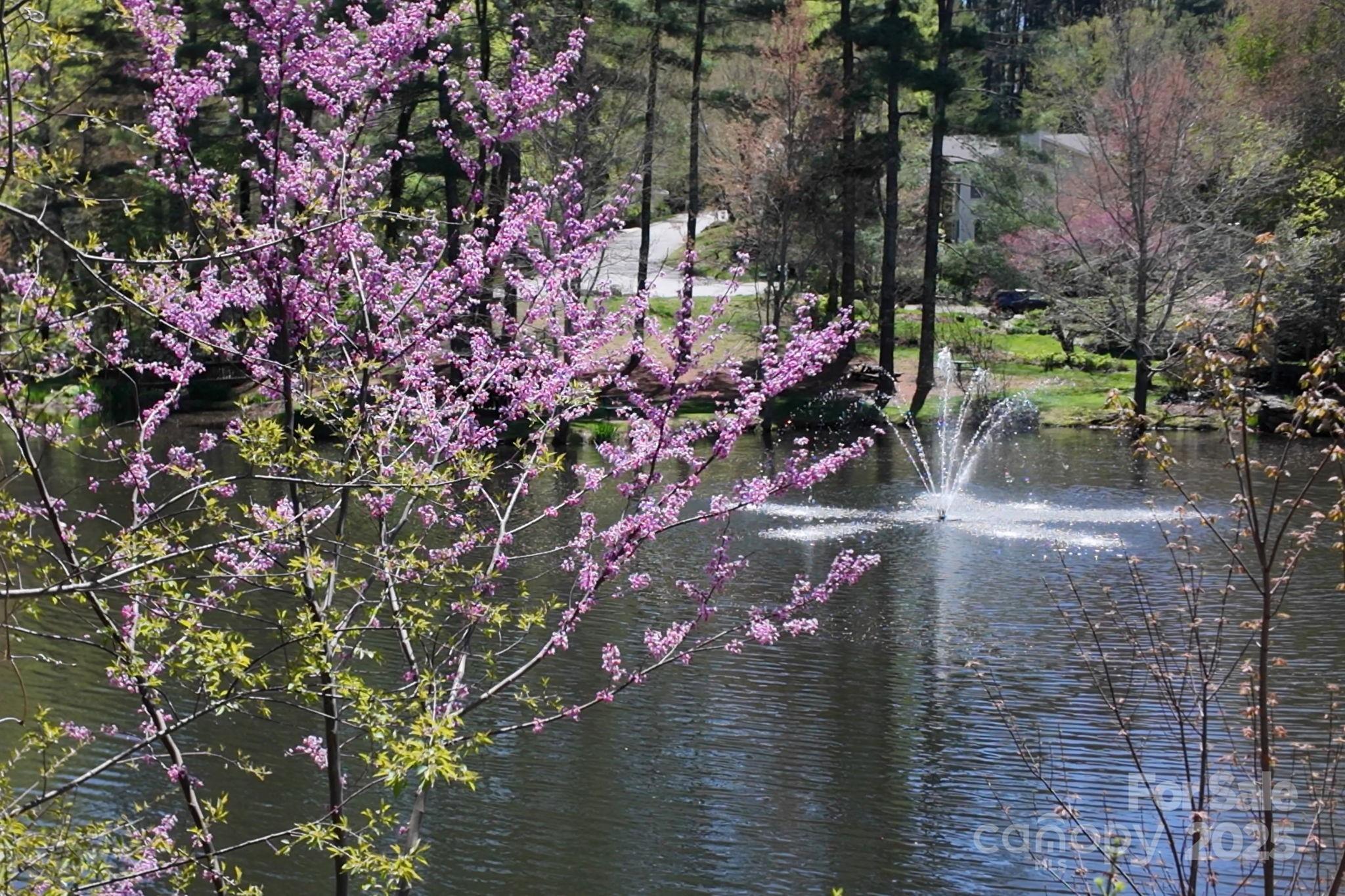 65 Forest Lake Drive Asheville NC 28803