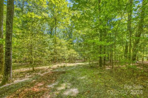 57 Sleepy Gap Road Arden NC 28704