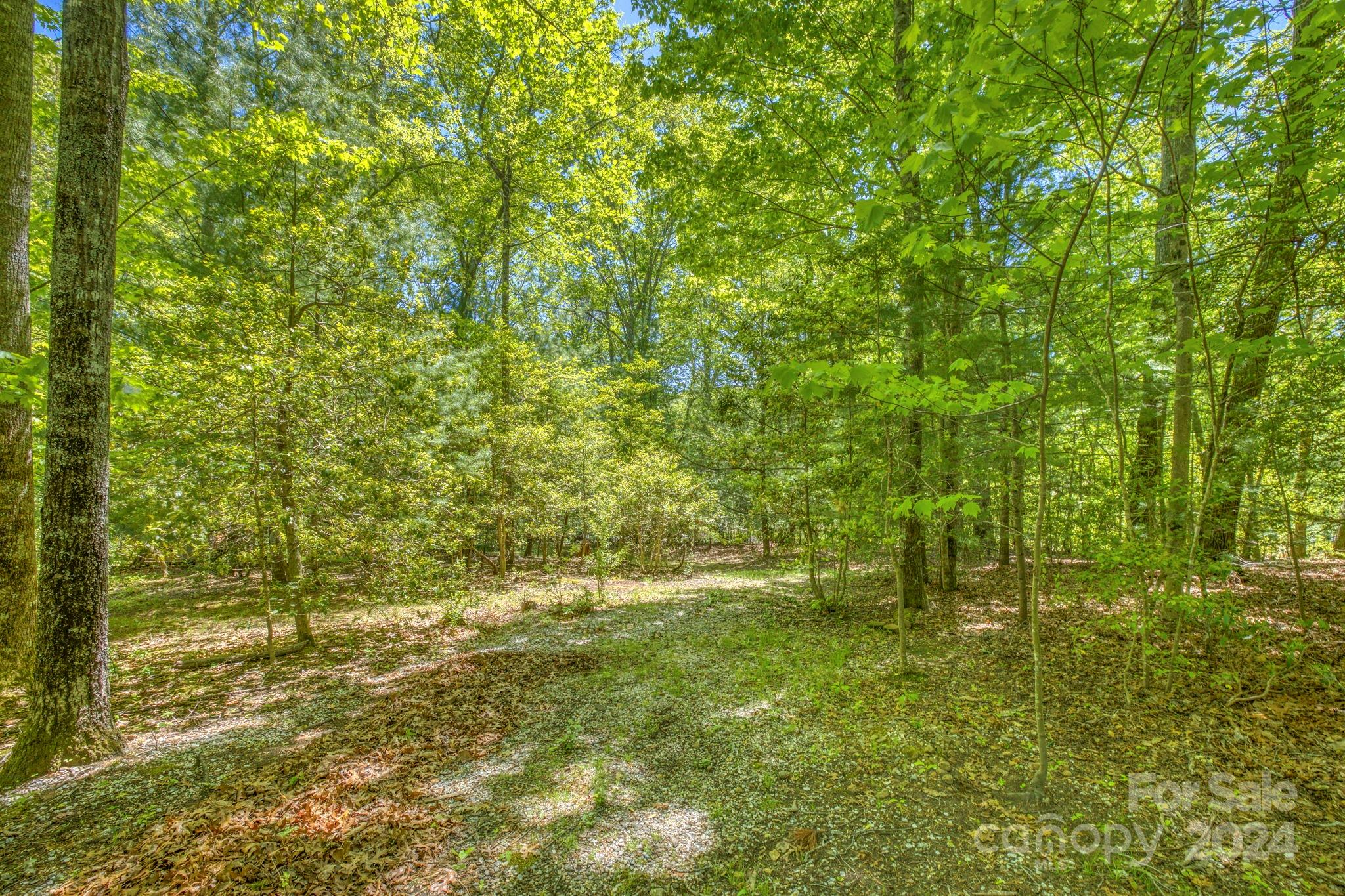 57 Sleepy Gap Road Arden NC 28704