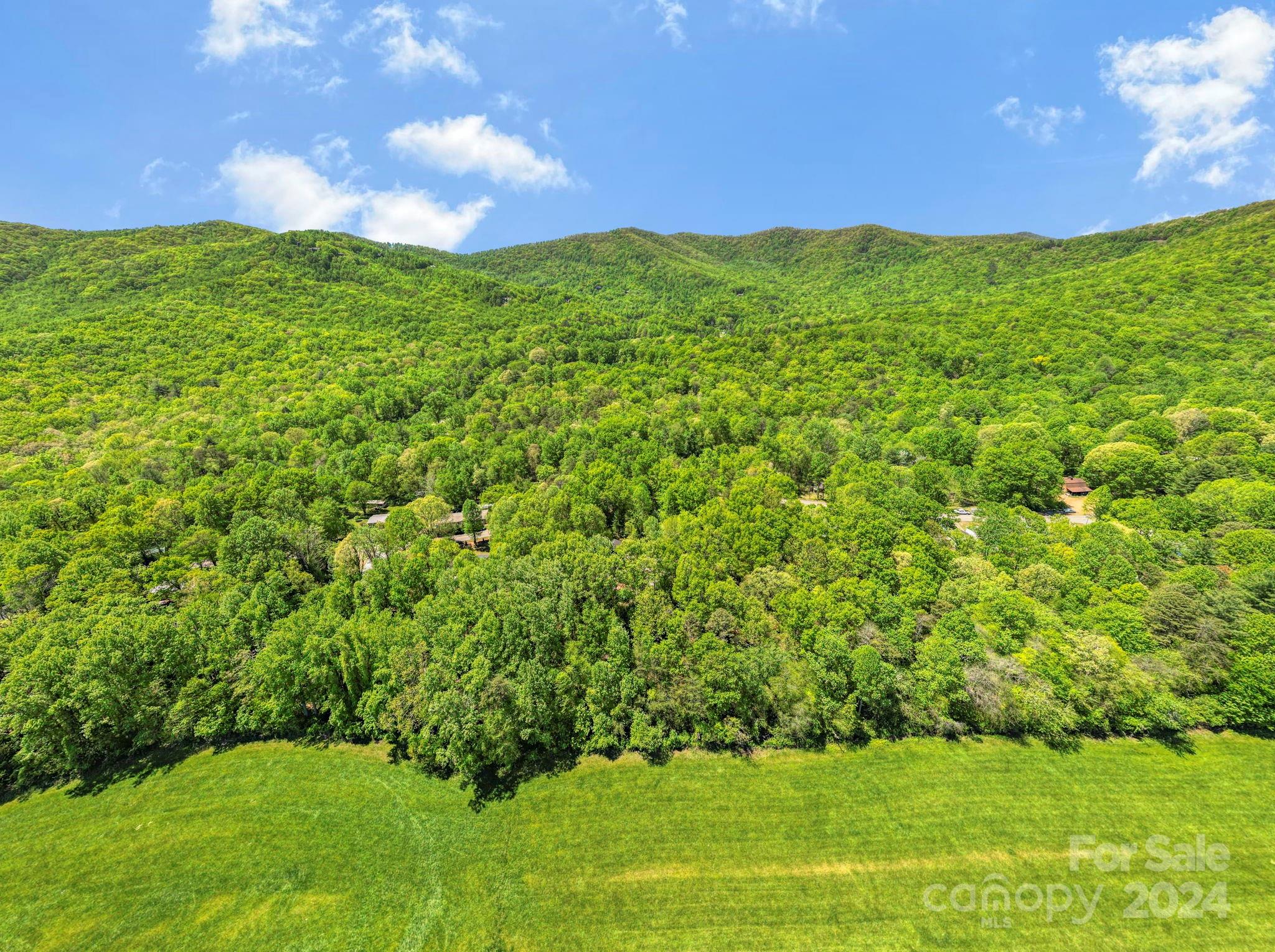 57 Sleepy Gap Road Arden NC 28704