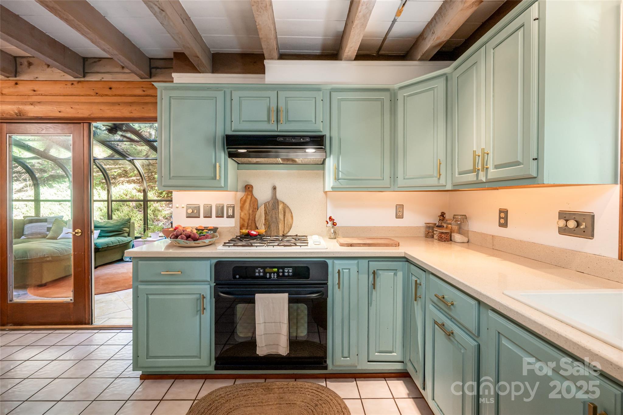 15 Coneflower Court Black Mountain NC 28711