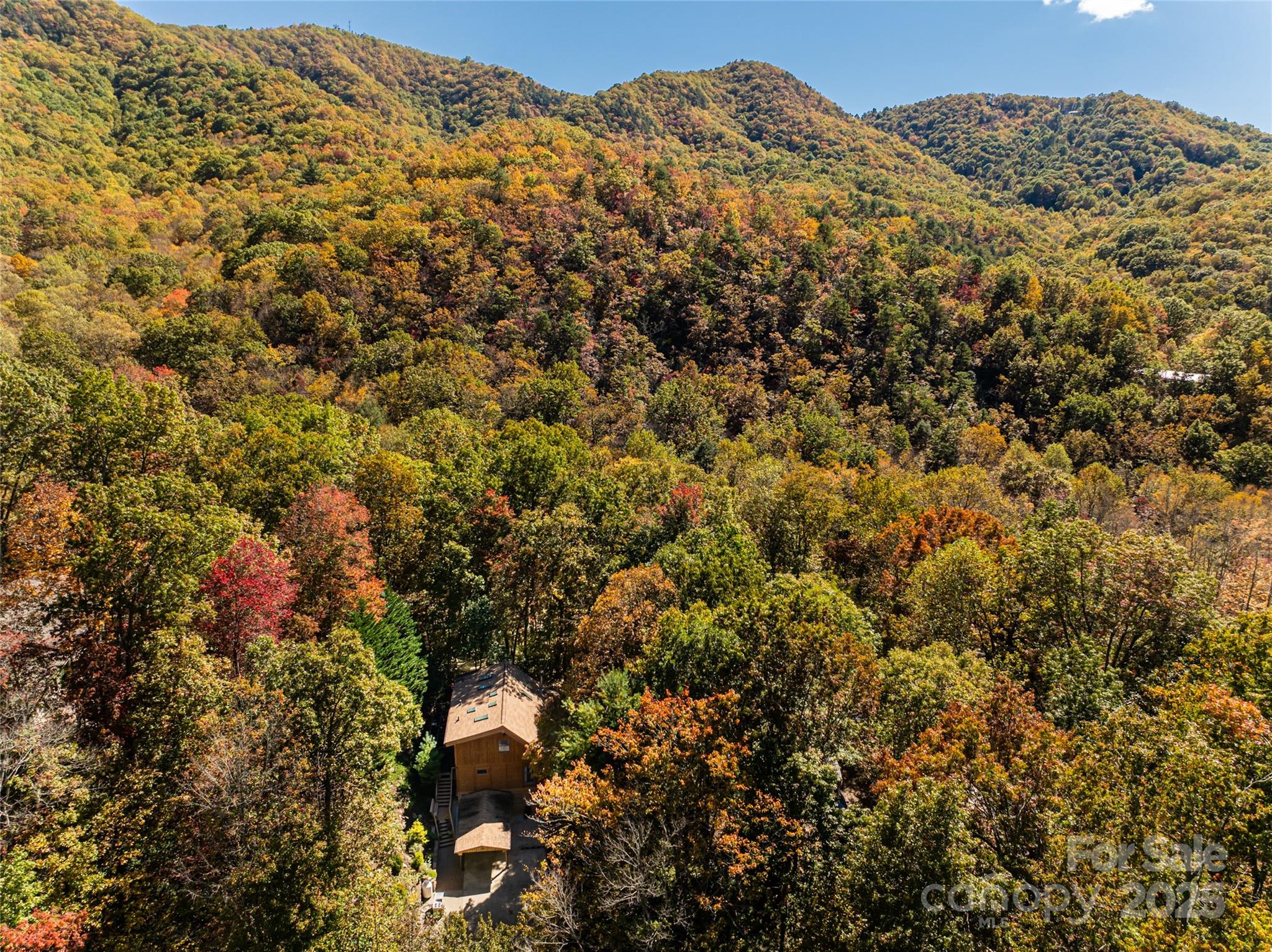 15 Coneflower Court Black Mountain NC 28711