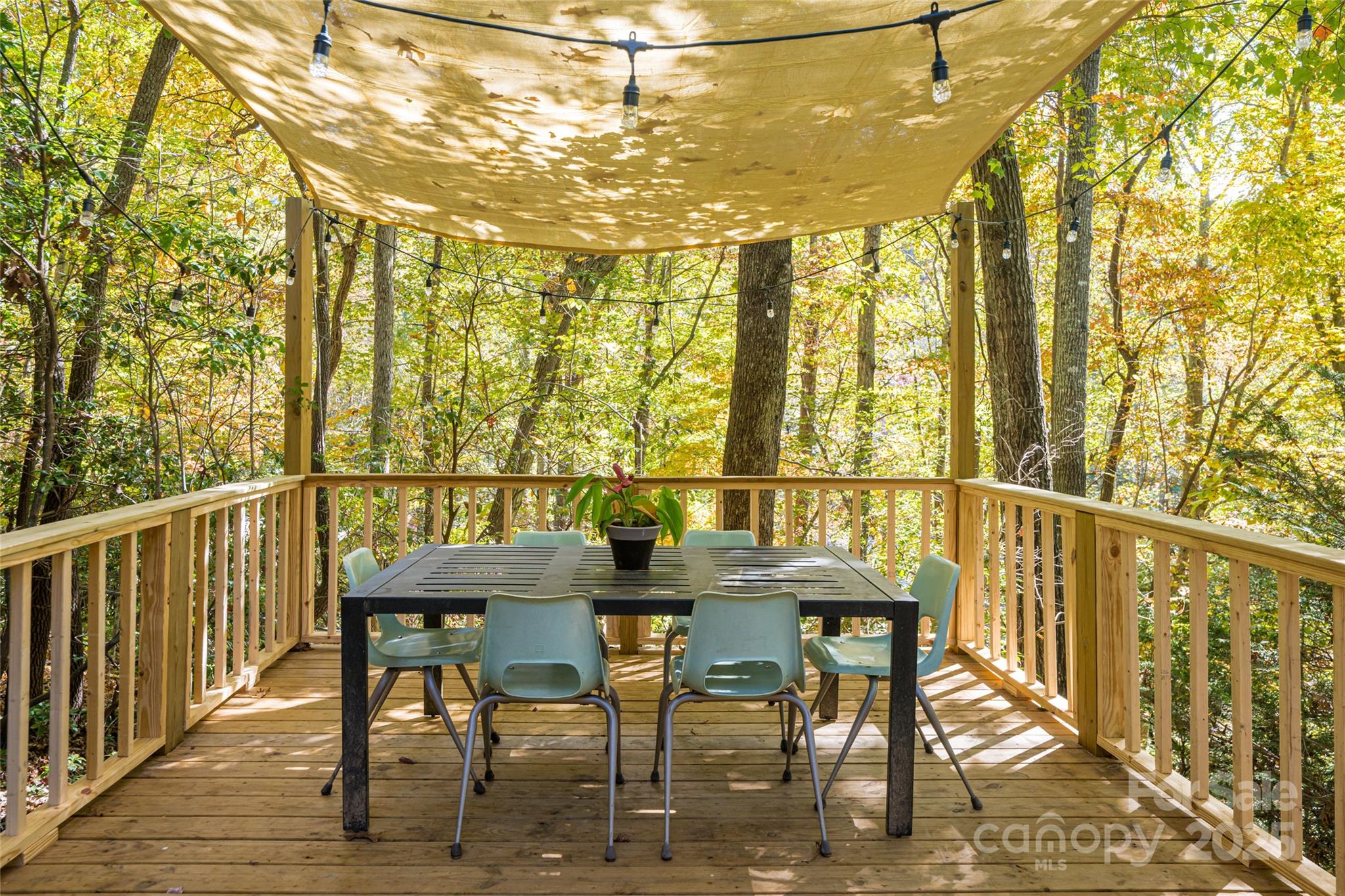 15 Coneflower Court Black Mountain NC 28711