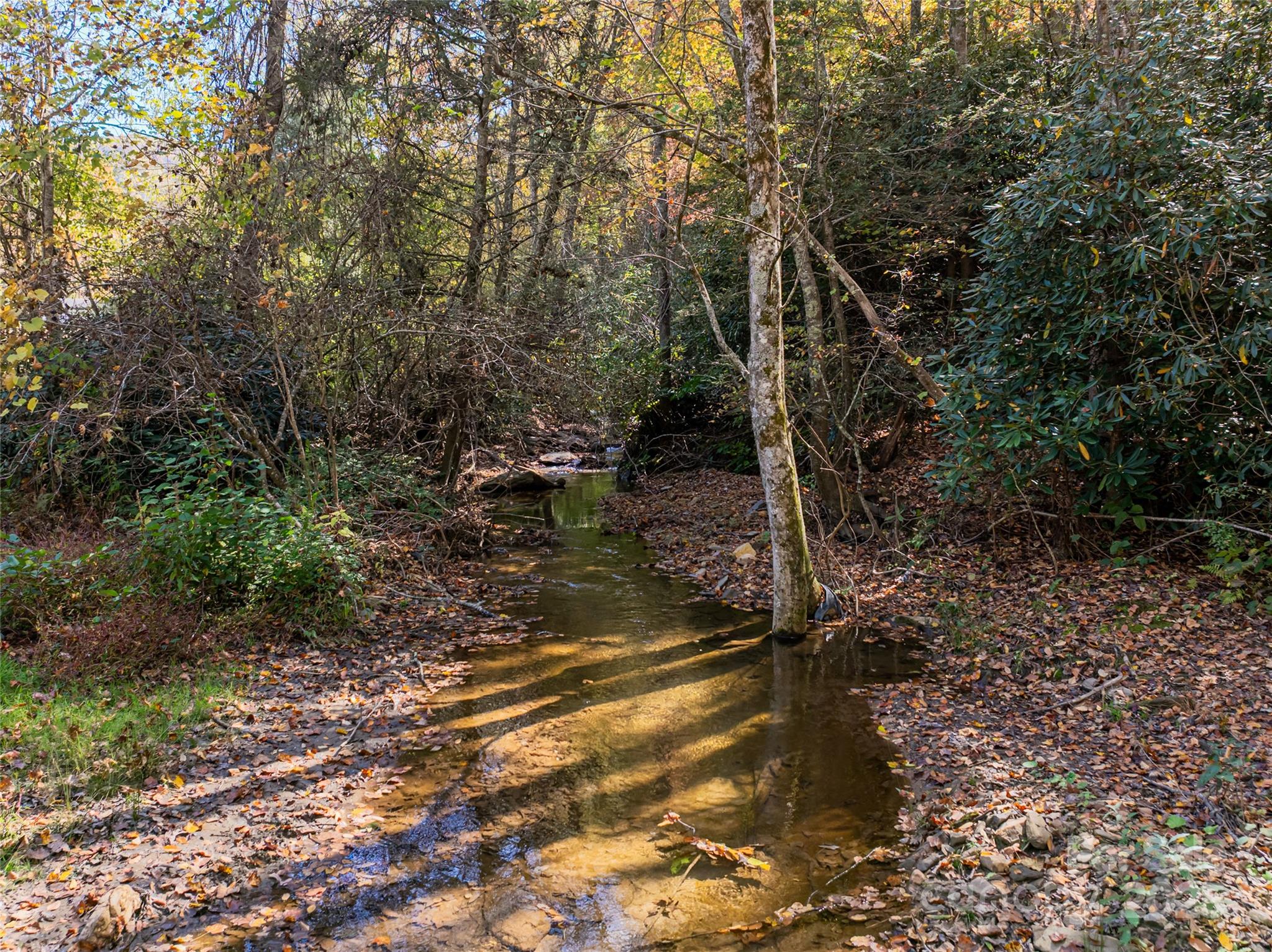 15 Coneflower Court Black Mountain NC 28711