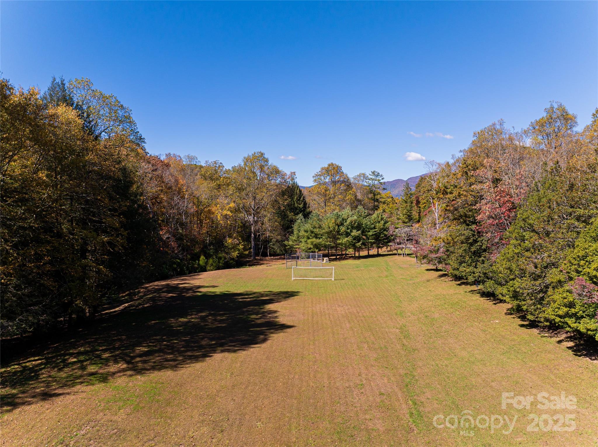 15 Coneflower Court Black Mountain NC 28711