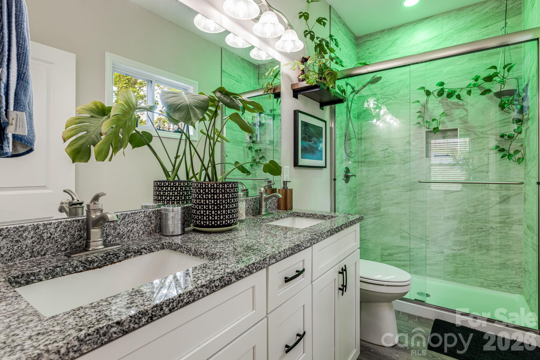 19 Shadowlawn Drive Asheville NC 28806