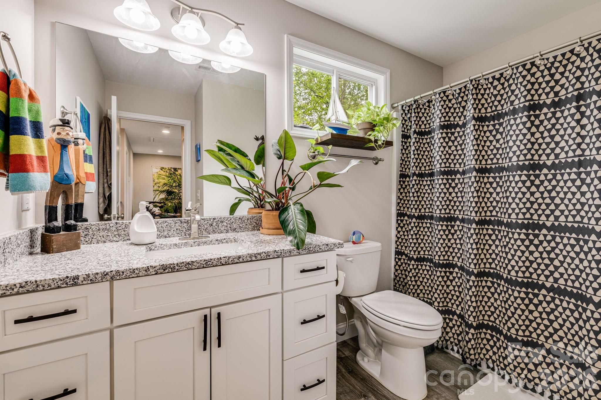 19 Shadowlawn Drive Asheville NC 28806