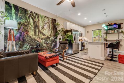 19 Shadowlawn Drive Asheville NC 28806